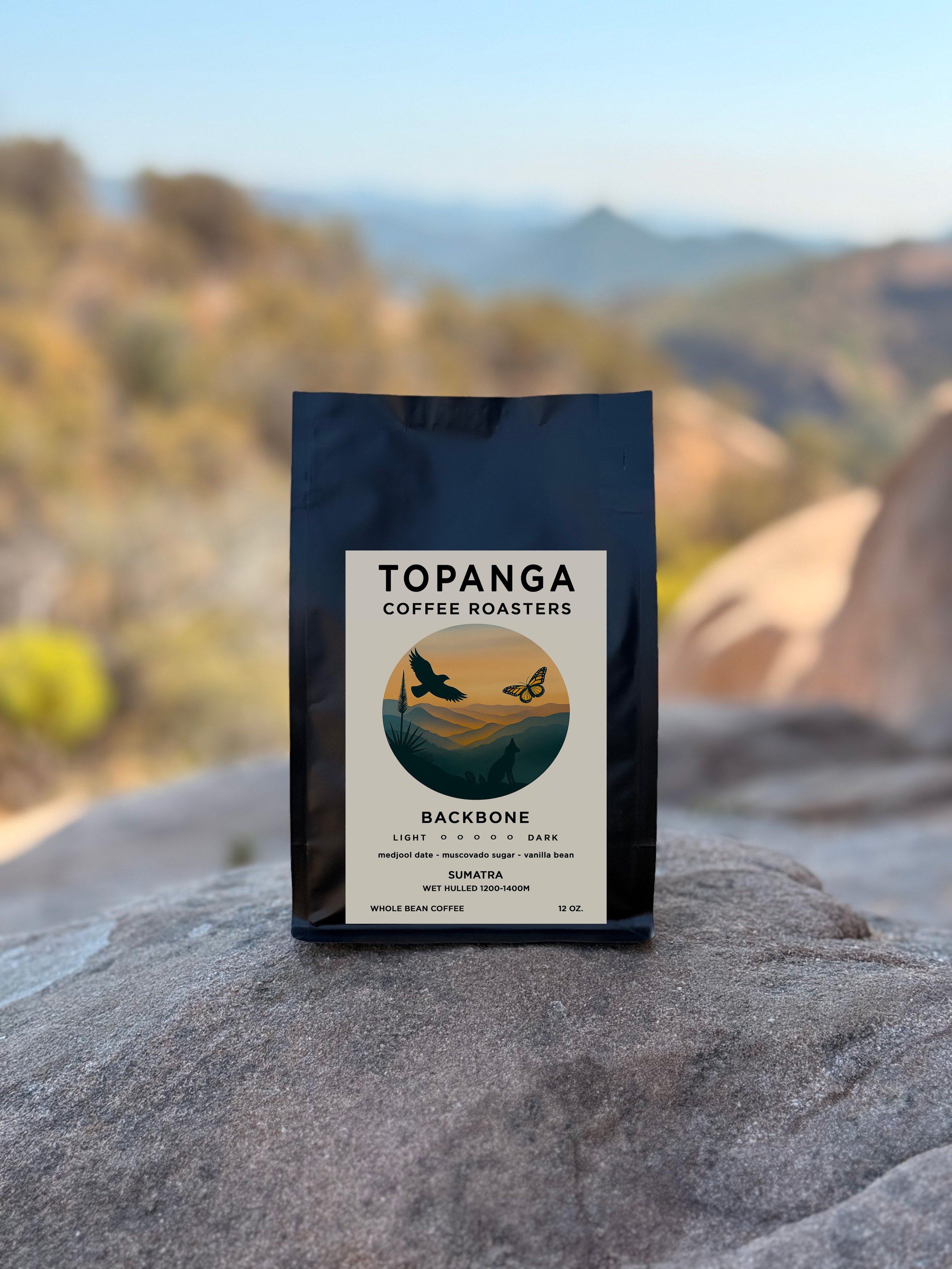 Backbone Comp product shot.jpg