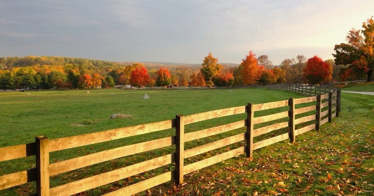 There&rsquo;s nothing like a crisp autumn stroll through your yard when it&rsquo;s framed by a beautifully crafted wood fence. At Lone Star Fenceworks, we combine durability and design to create fences that stand strong through every season,  enhanci
