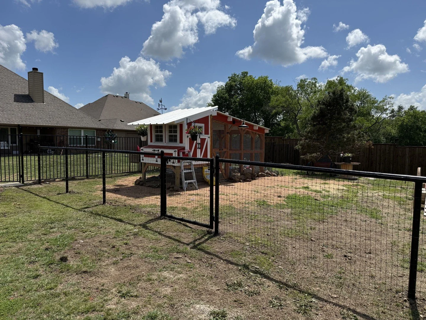 Tired of worrying about predators getting into your coop&mdash;or your chickens getting out? 🐔

We just wrapped up this clean 4&rsquo; tall black no-climb pipe fence with custom gates, built specifically for a chicken enclosure. This setup keeps you