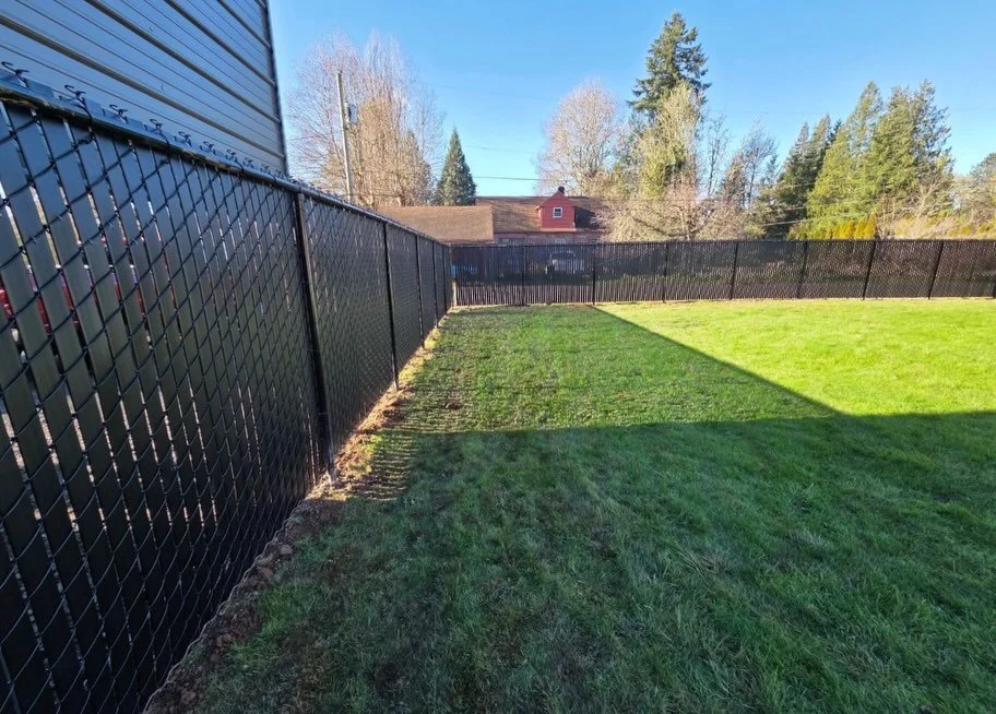A backyard with a black chain-link fence, green grass, and trees in the background under a clear blue sky.
