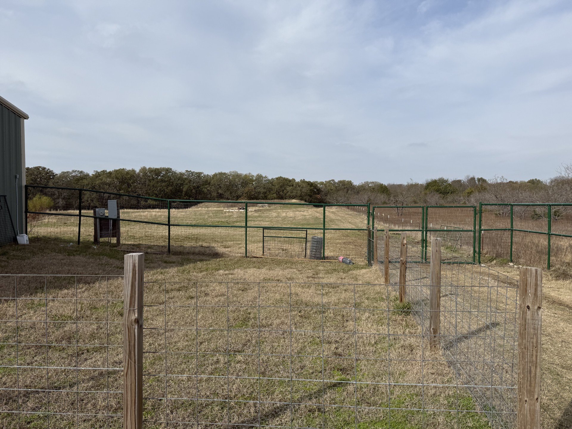 A fenced outdoor area with a grassy field, some trees in the background, and a cloudy sky overhead. There is a small building on the left side of the image and some scattered objects on the ground.