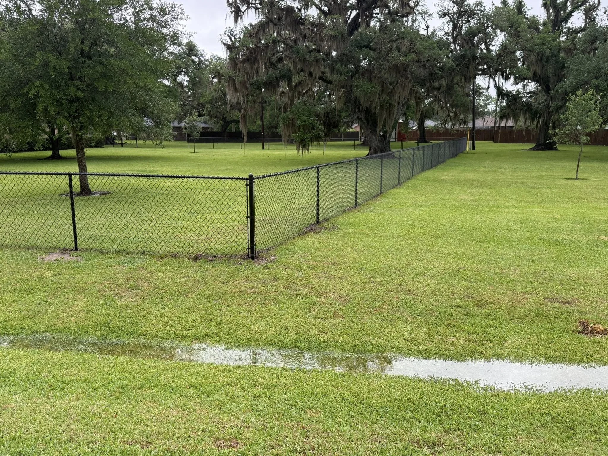 A grassy park area with several trees, a chain-link fence, and overcast sky.