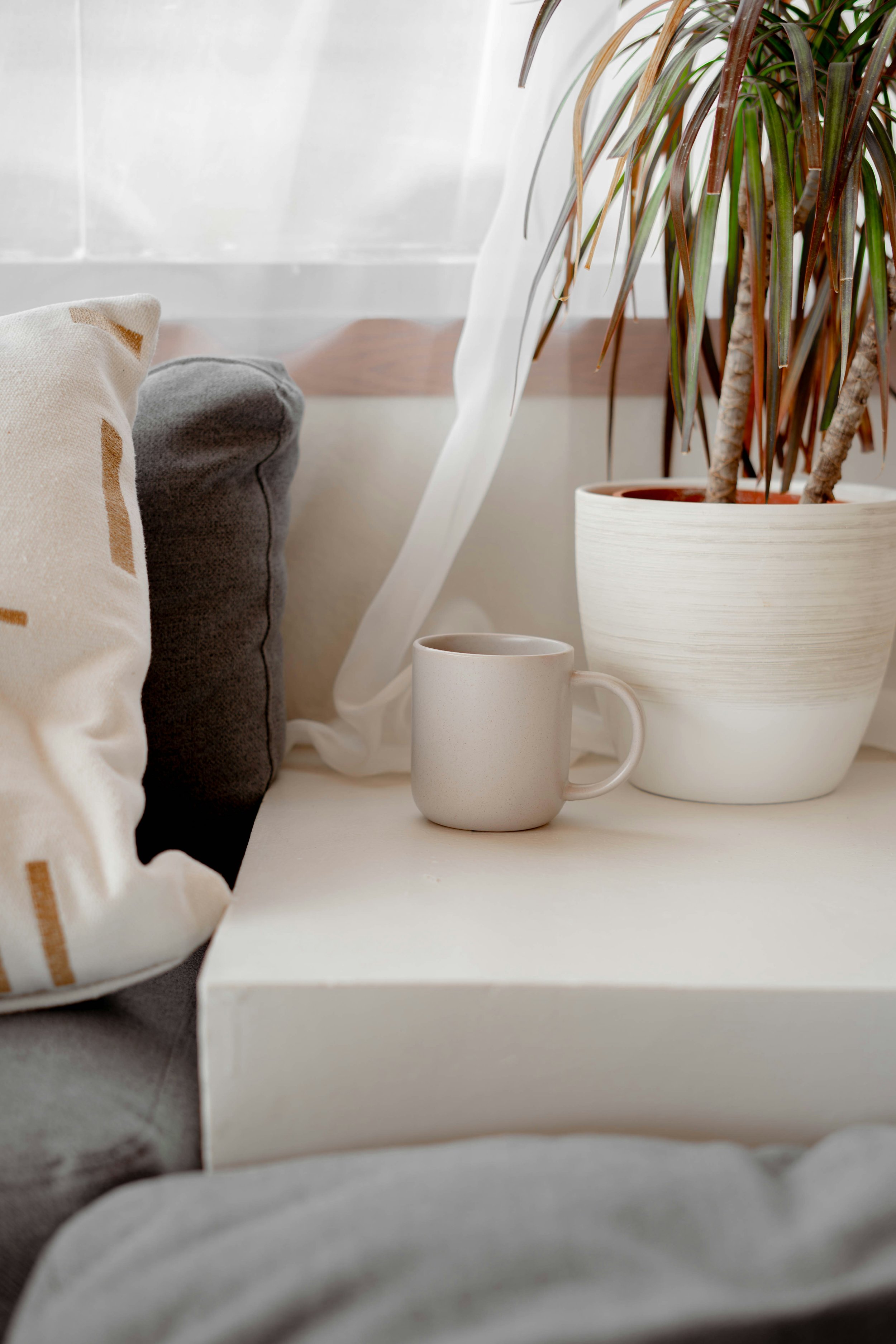 A cozy living space corner with a white coffee table, two cushions (one beige with gold accents, one dark grey), a white mug, and a large indoor plant pot with a tall, leafy plant near a window with sheer curtains.