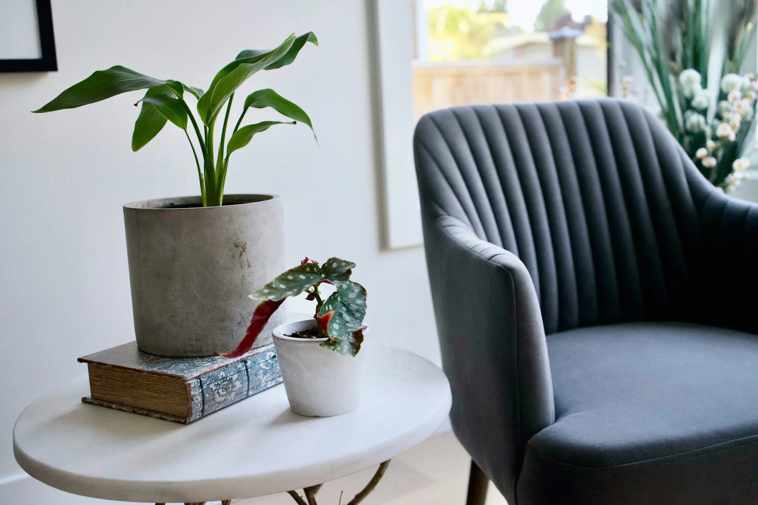 A white side table with two potted plants and a large hardcover book, next to a gray upholstered armchair, in a room with natural light and a window in the background.