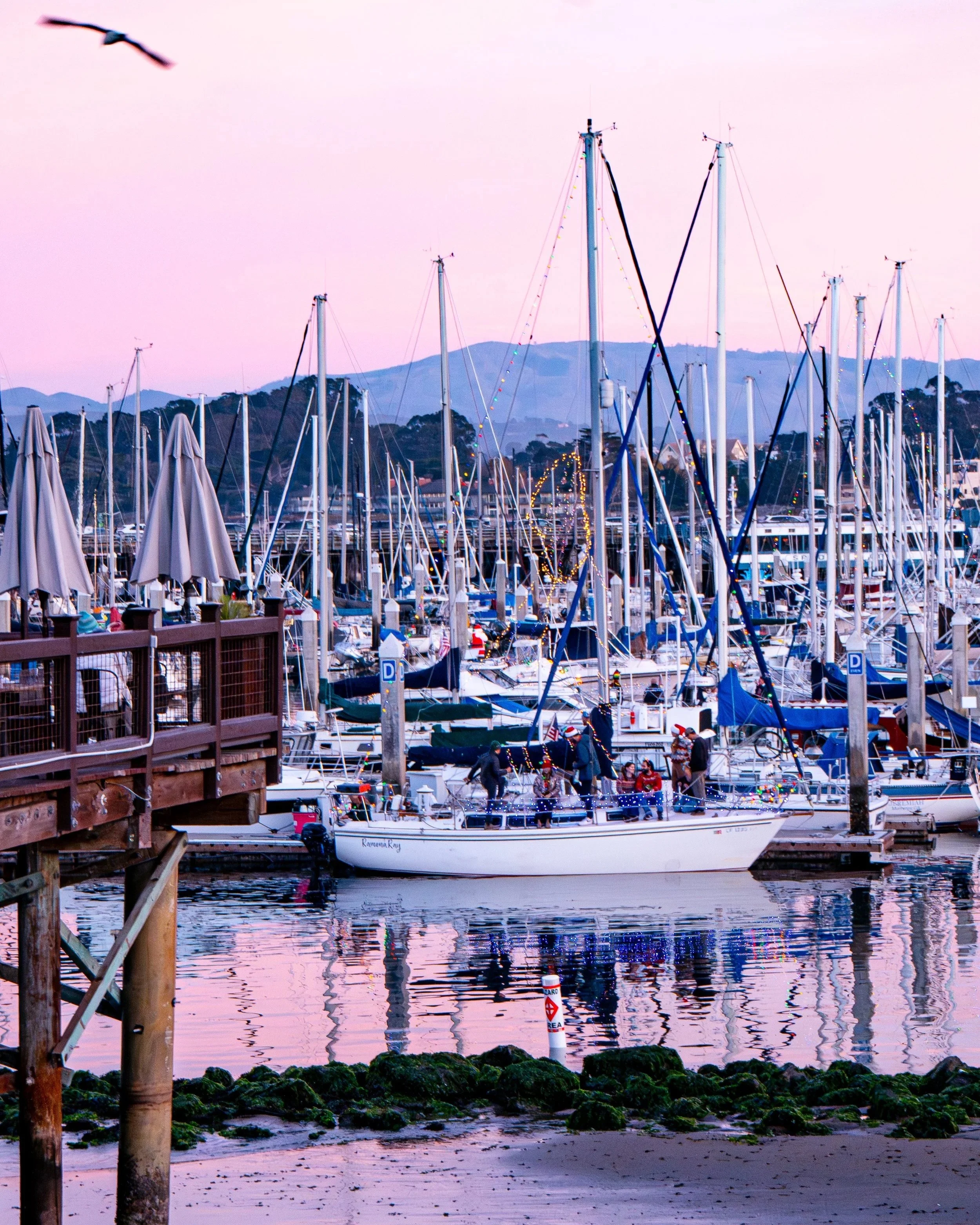 Professional Client Work