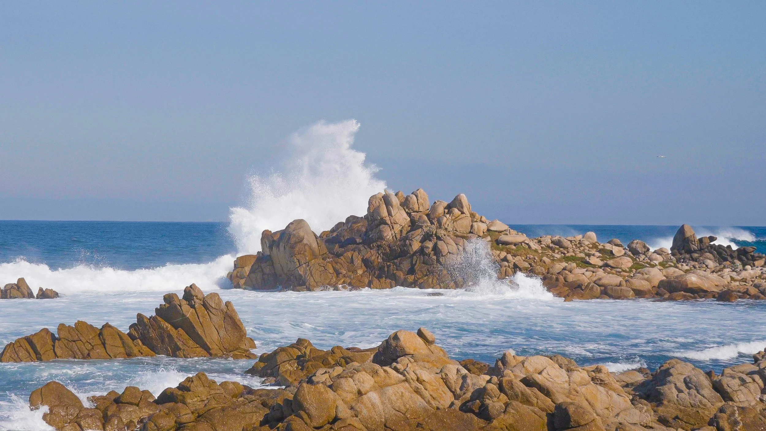 Lifestyle and Hospitality Portfolio