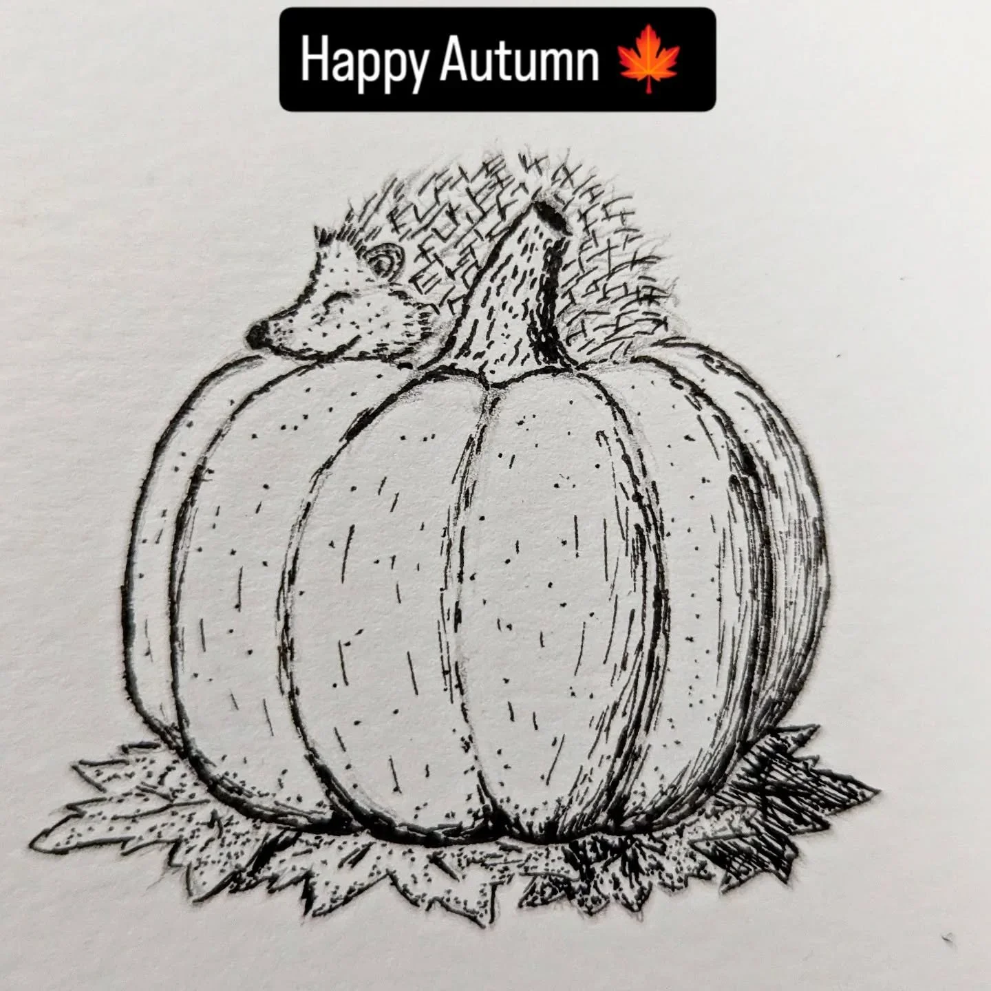 I wanted to draw a cute picture of a hedgehog sleeping on a pumpkin for Autumn. It's funny, this picture took me a few tries to make and I'll probably share a reel of that later, but there is such a fine line between an apple with weird lines, an act