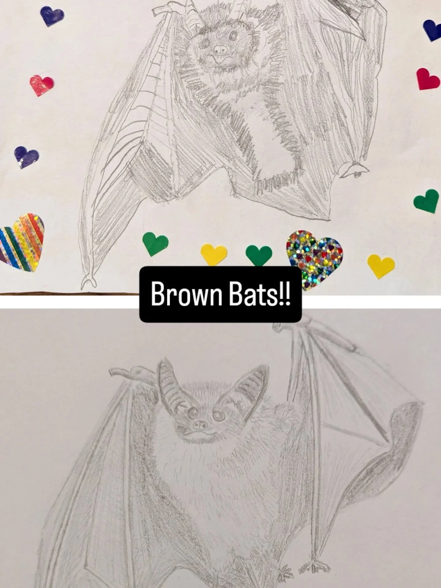Beautiful Brown Bats! I'm drawing with my daughter, bats are her favorite animal 🦇. Of course I had to give my bed a coffee cup hahaha. 
#bats #batillustration #batlover #coffeeillustration #autumn #halloween