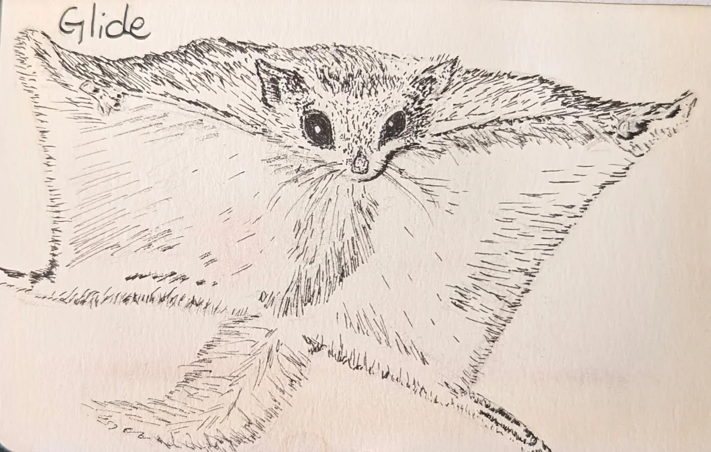 I mean, who hasn't wanted to try a squirrel suit?

Flying squirrel...more like controlled falling 😉

#flyingsquirrel #inktober52 #inktober52glide #inkdrawing #illustration