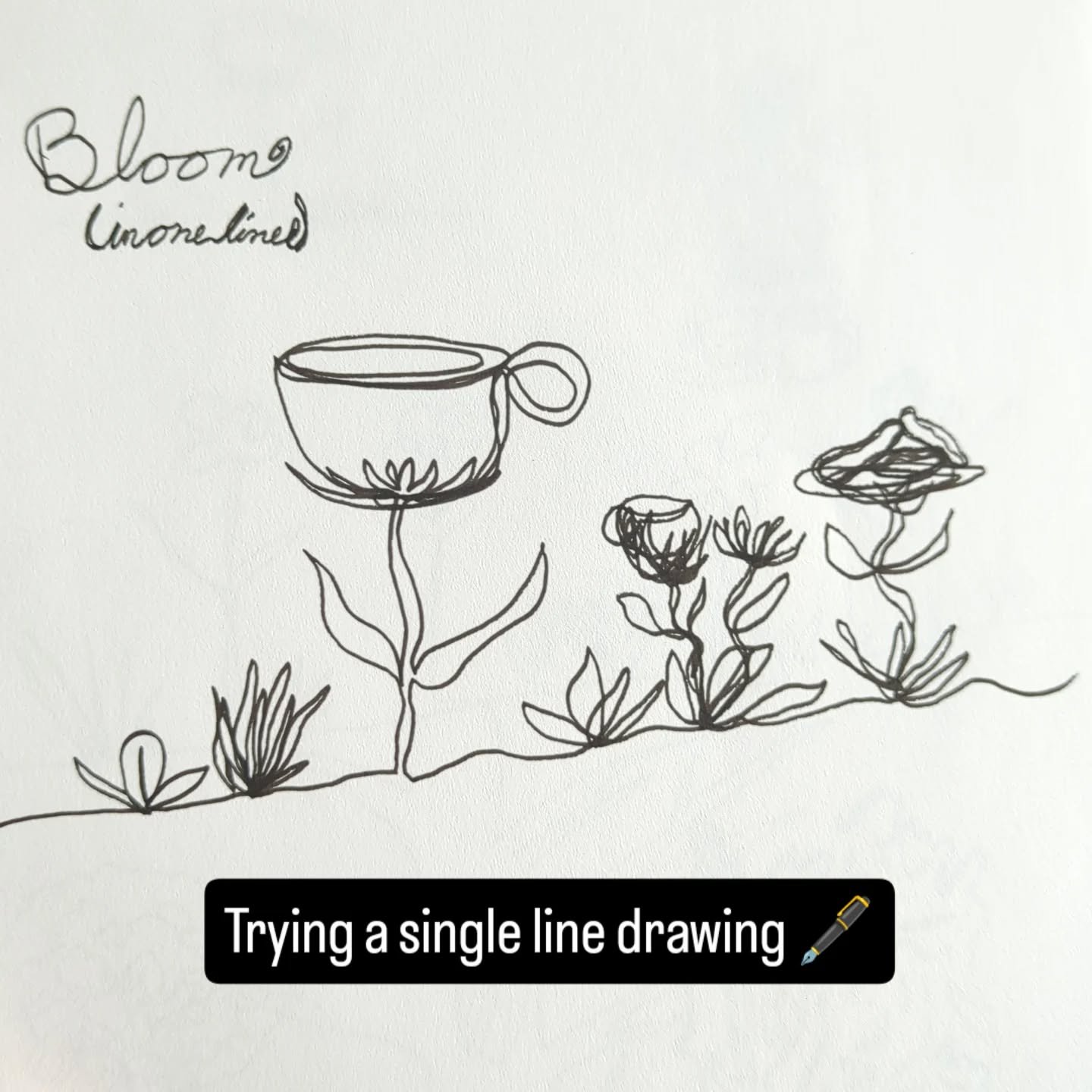 Trying my hand at drawing everything in one continuous line 😄 

Inktober prompt Bloom

Hope you guys like it!

@inktober 
#inktober52bloom #inktober #linedrawing #coffeeillustration #coffeetimeart