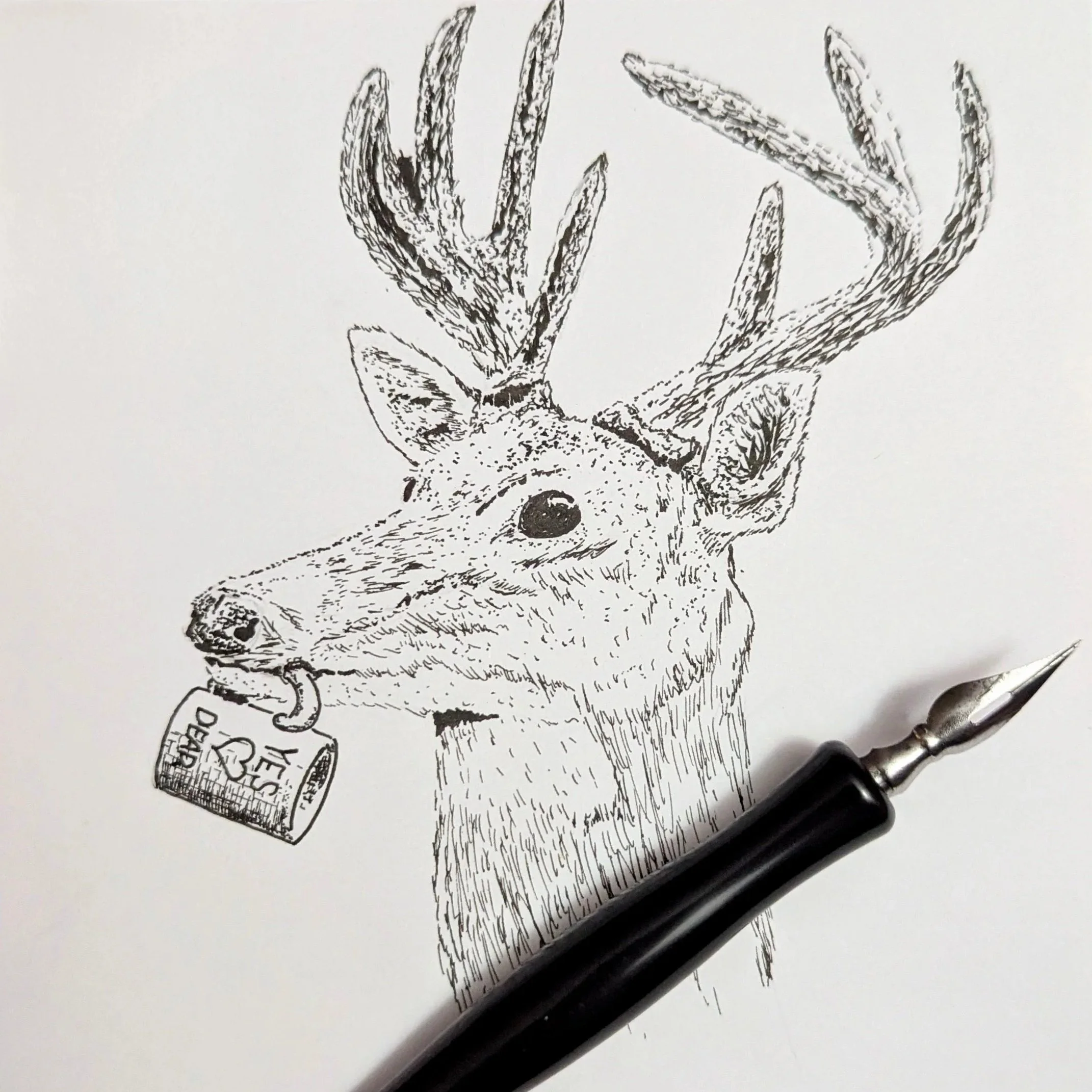 A black and white ink drawing of a deer with large antlers, with a coffee cup hanging from its mouth reading 'Yes Dear', and a pen placed on the paper.
