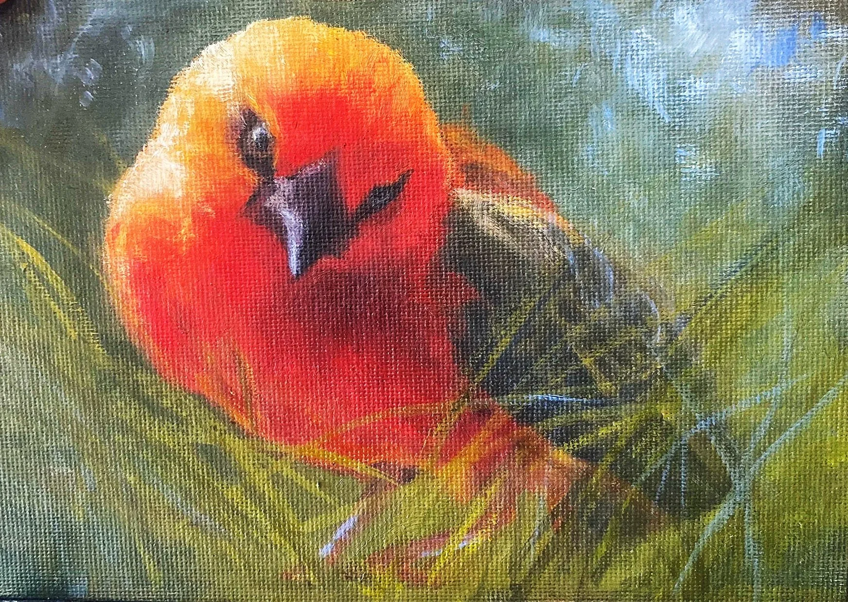 Bird Study