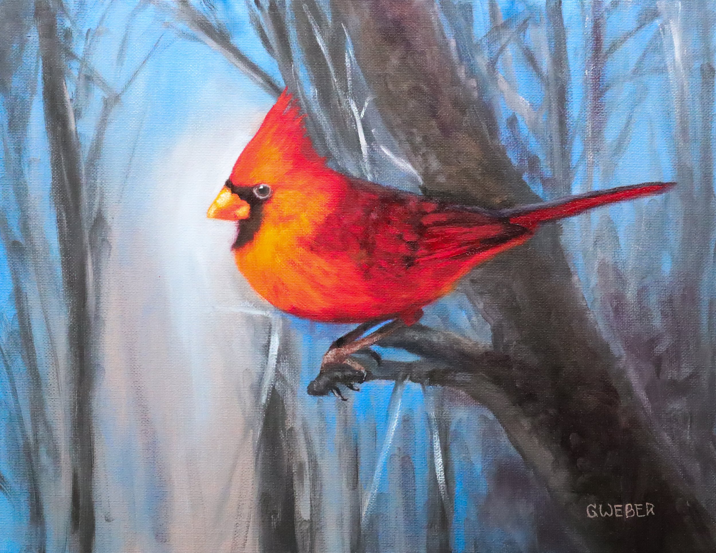 Cardinal in Blue