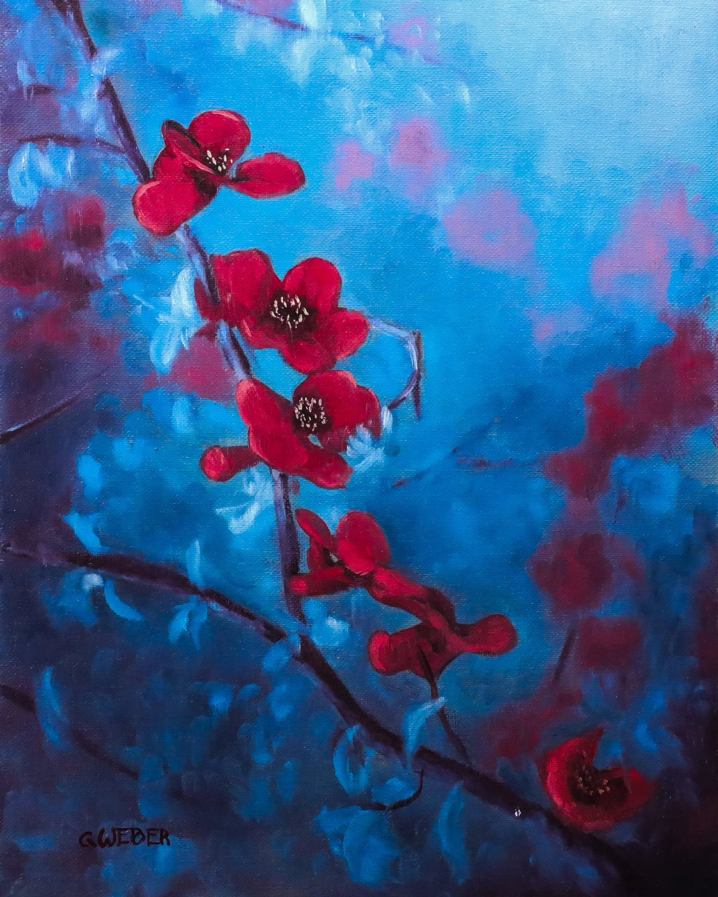 Cherry Blossoms