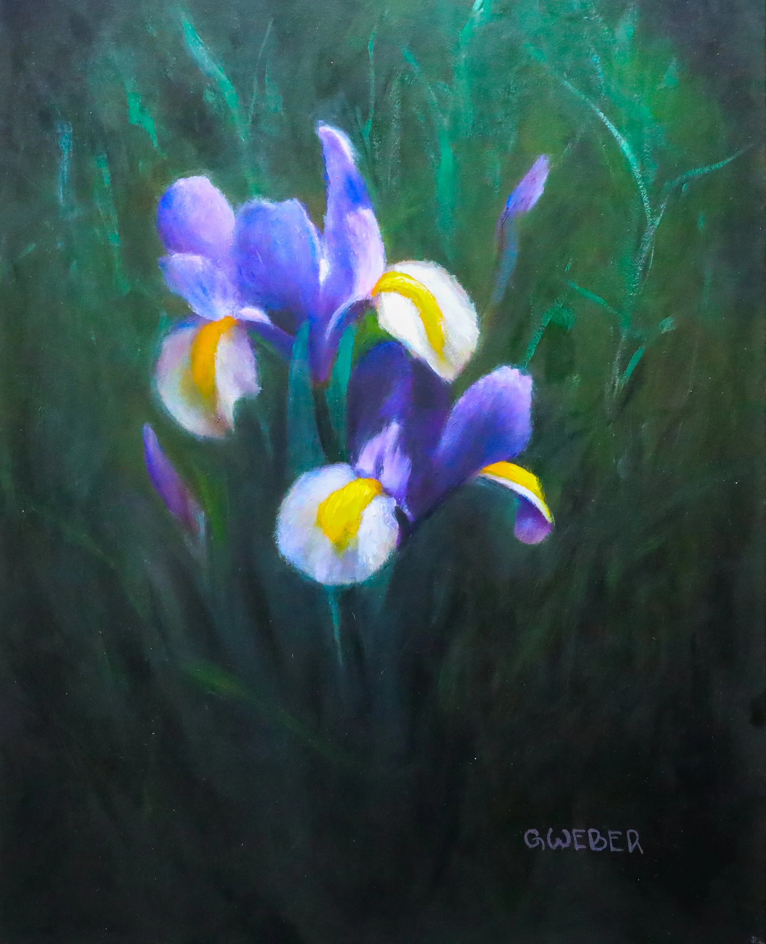 Purple Irises