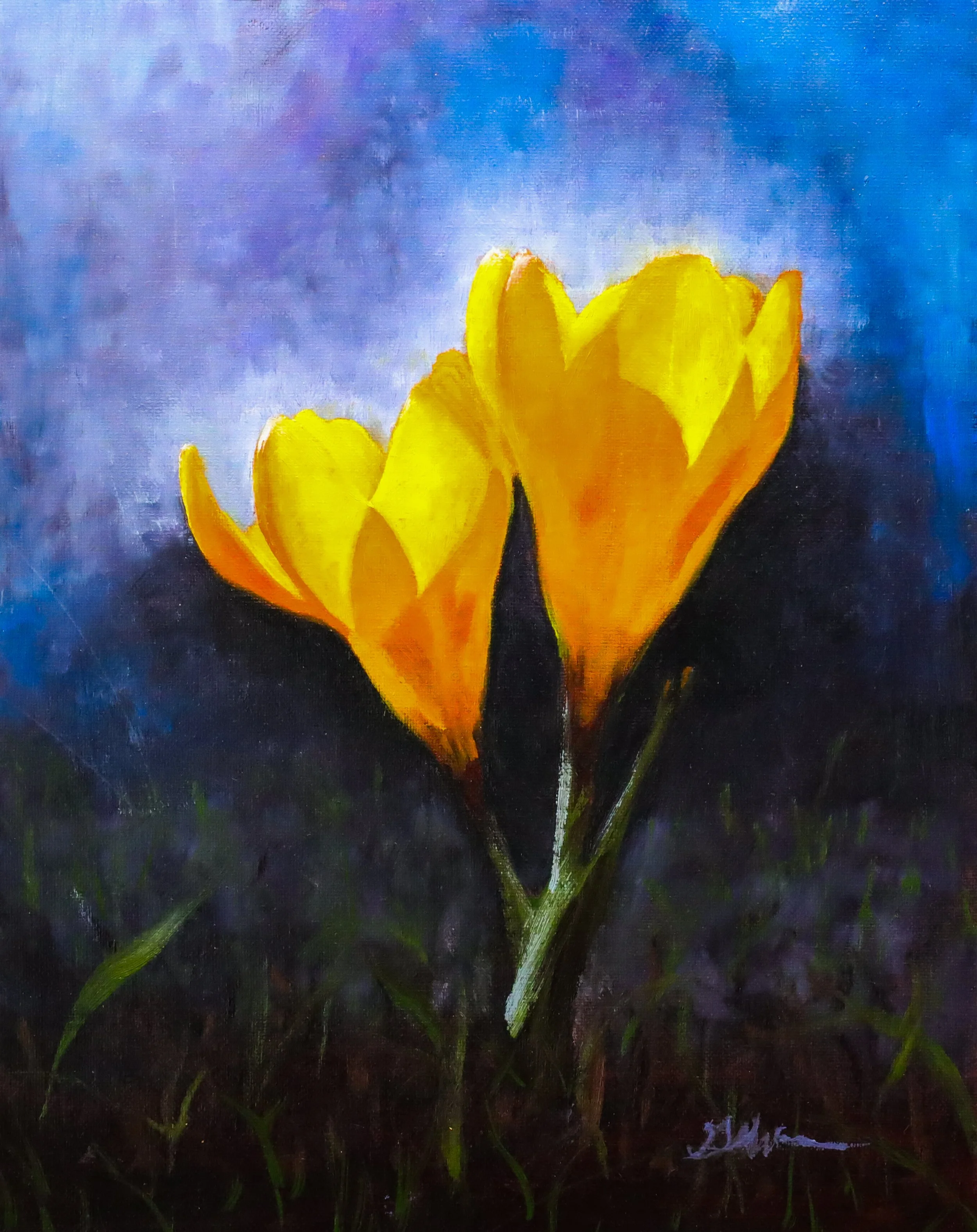 Sign of Spring