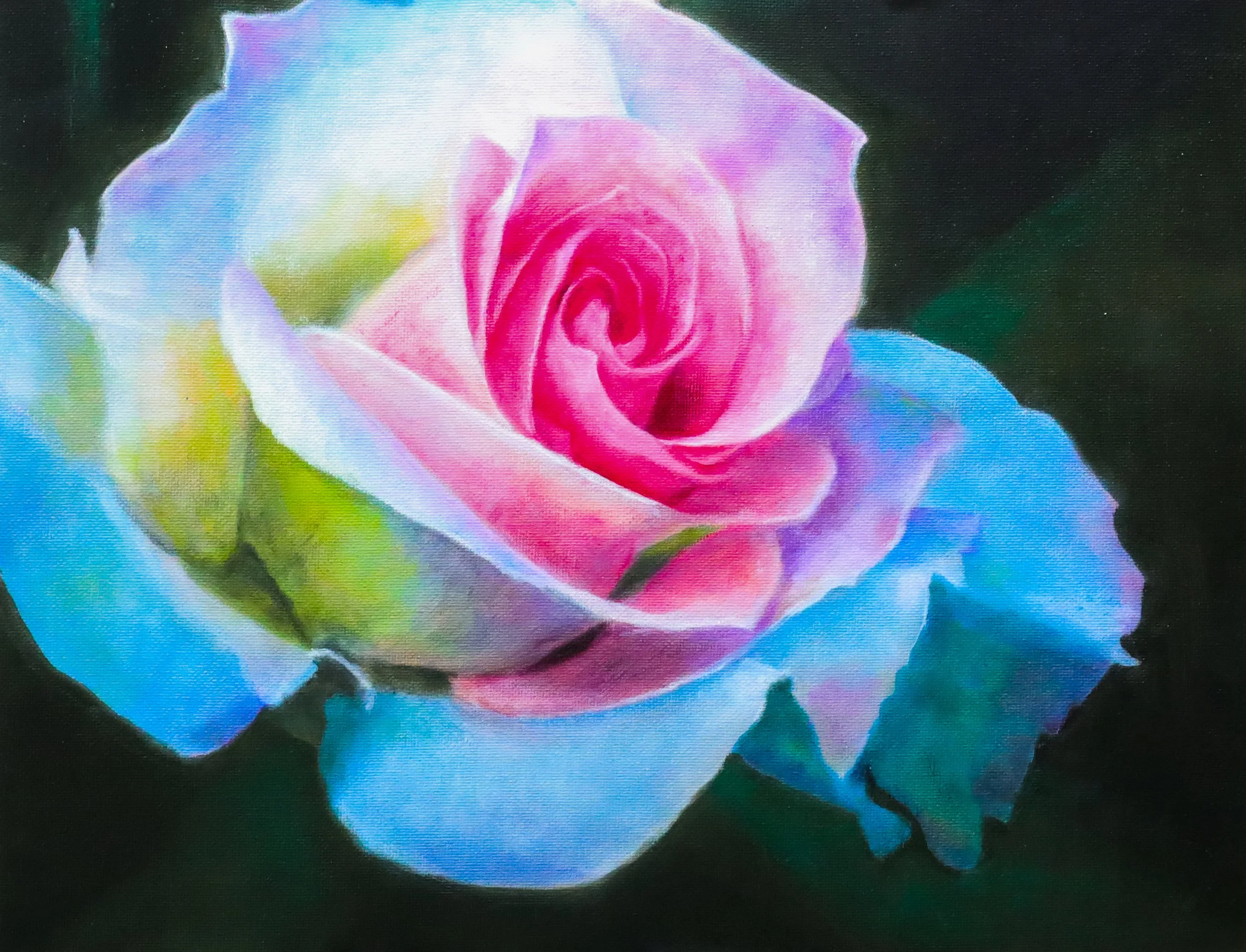 Rose's Close Up