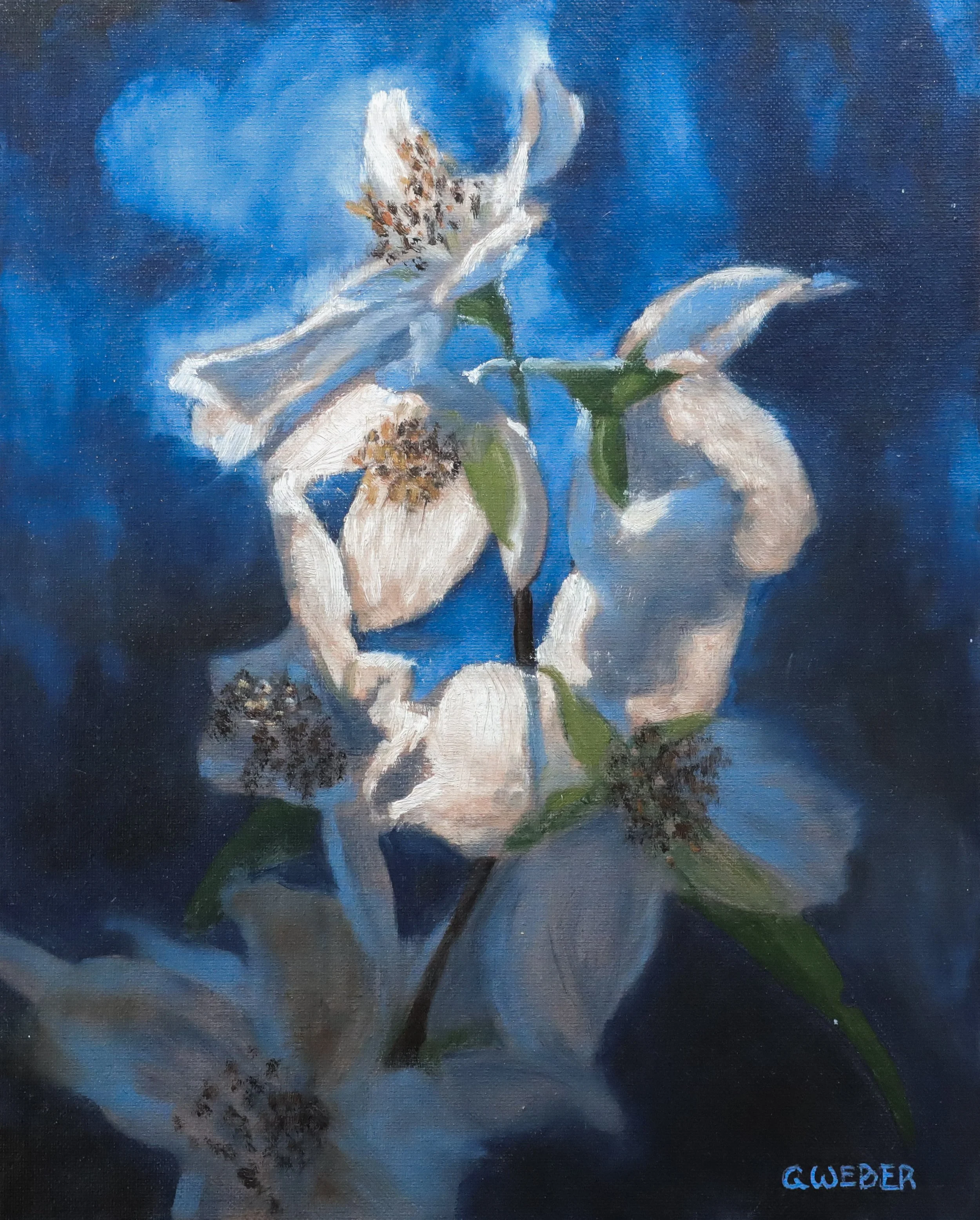 White Magnolias