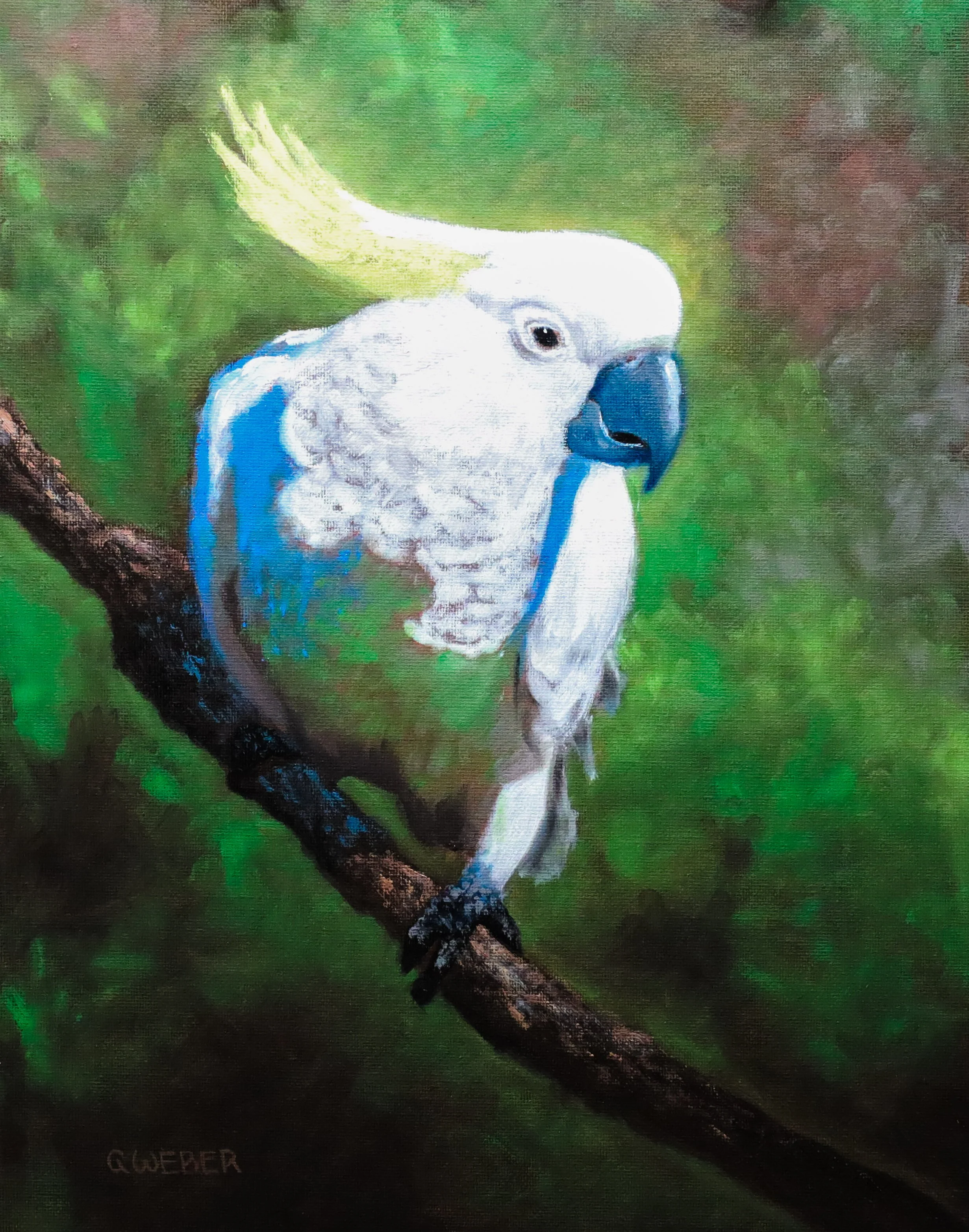 Yellow Crested Cockatoo