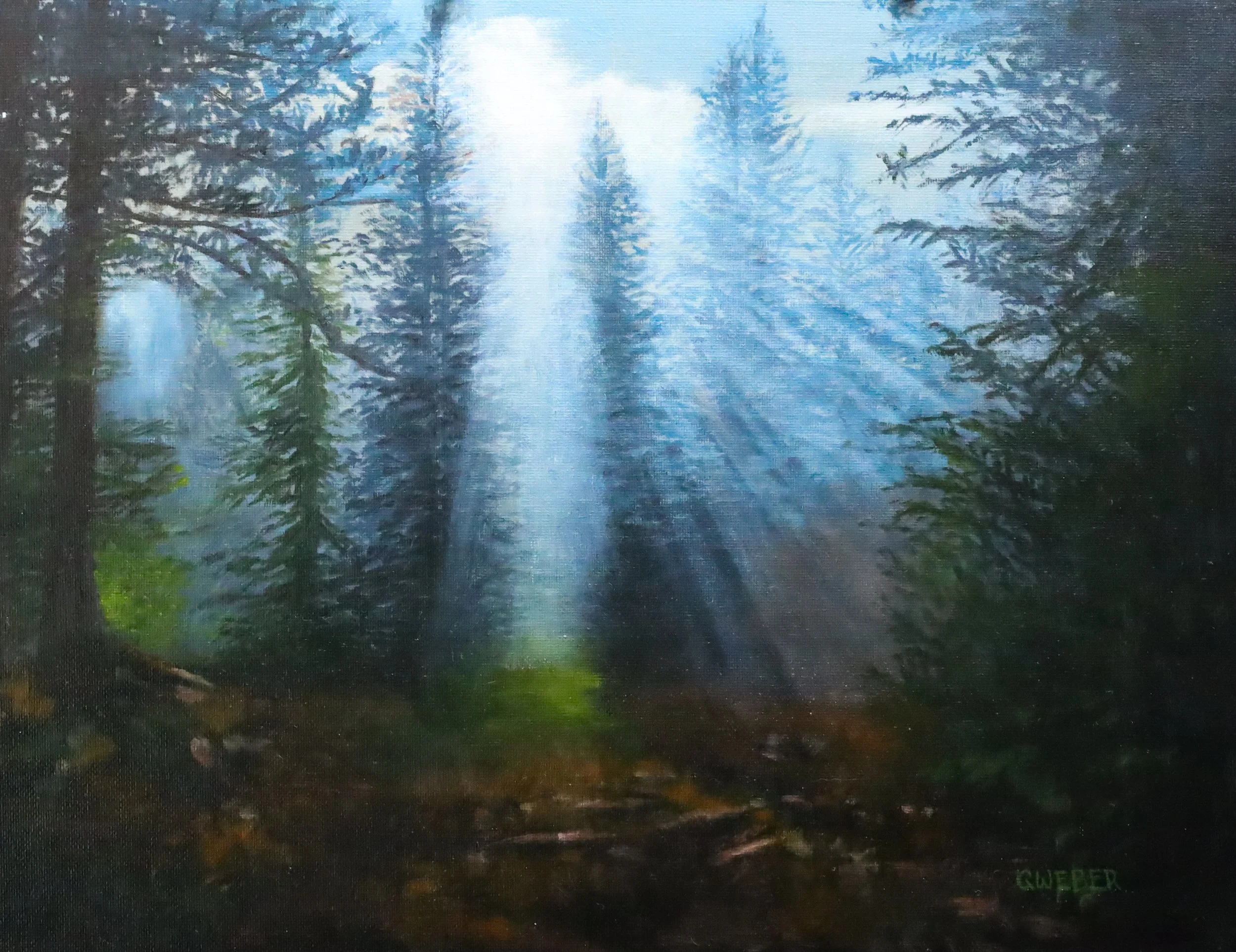 Light Streaming thru Pines