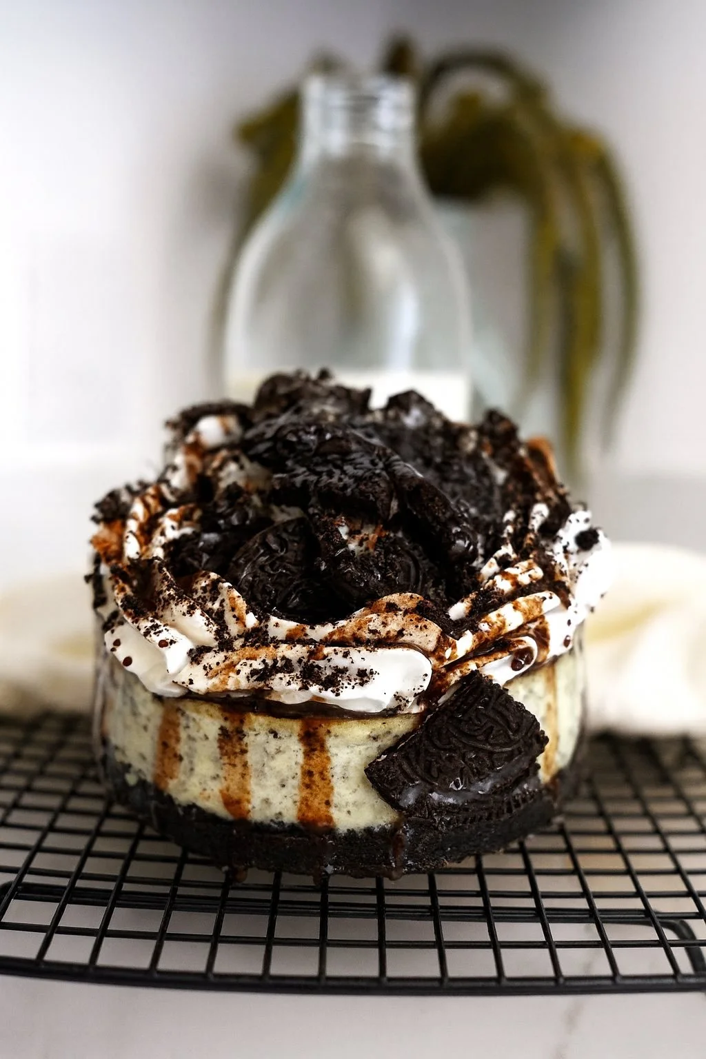 Cookies & Cream Cheesecake