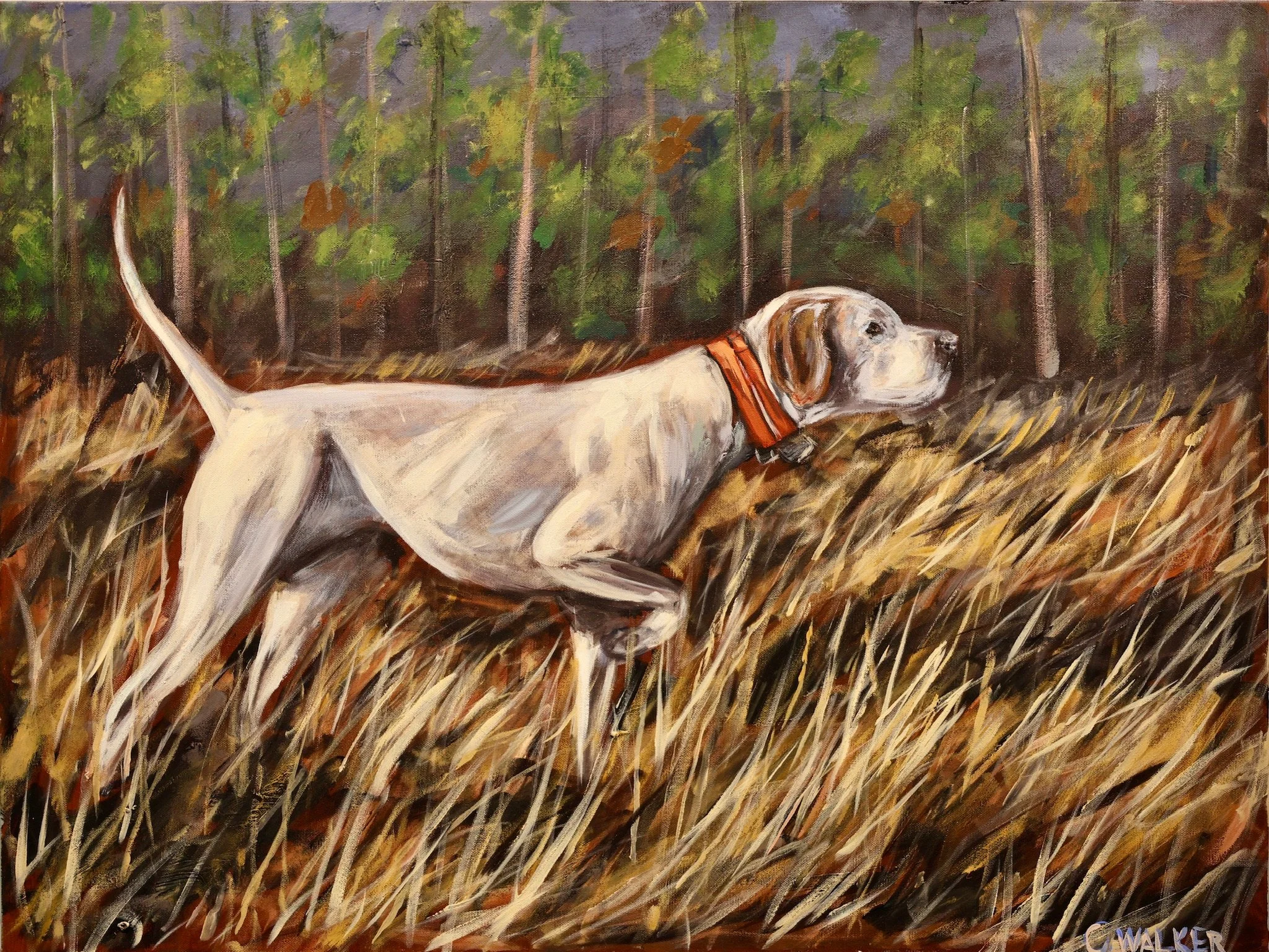 "Evening Hunt"
30x40
Available 