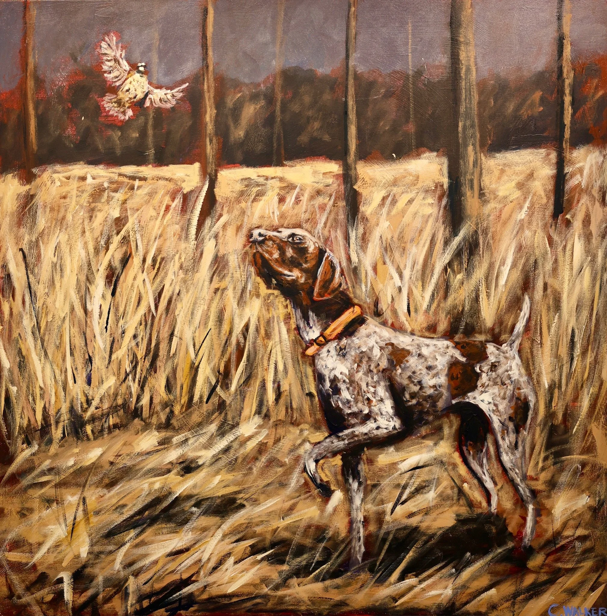 "Covy Rise" 
48x48 
SOLD