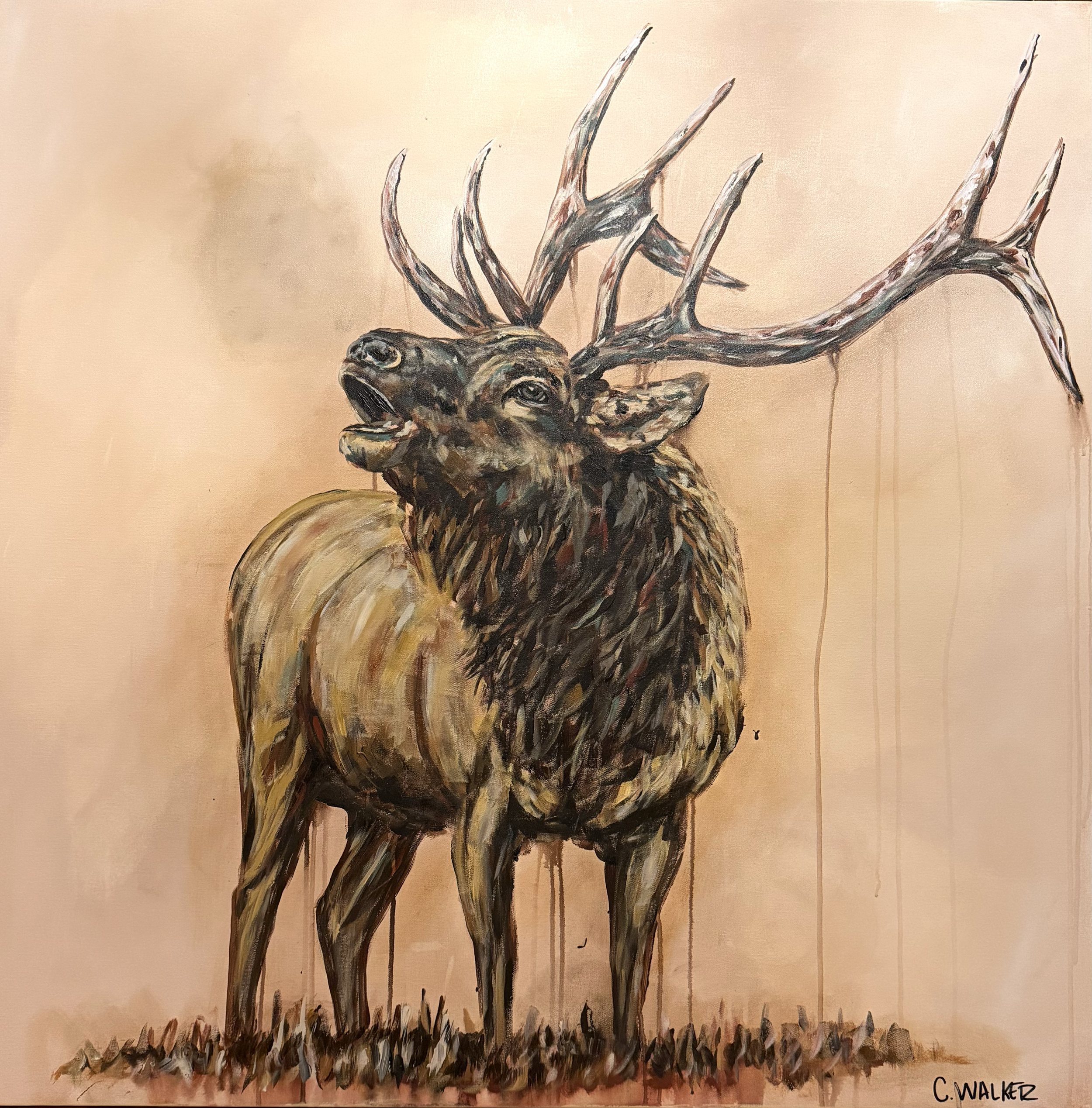 "the Bugle" 

48x48 
SOLD