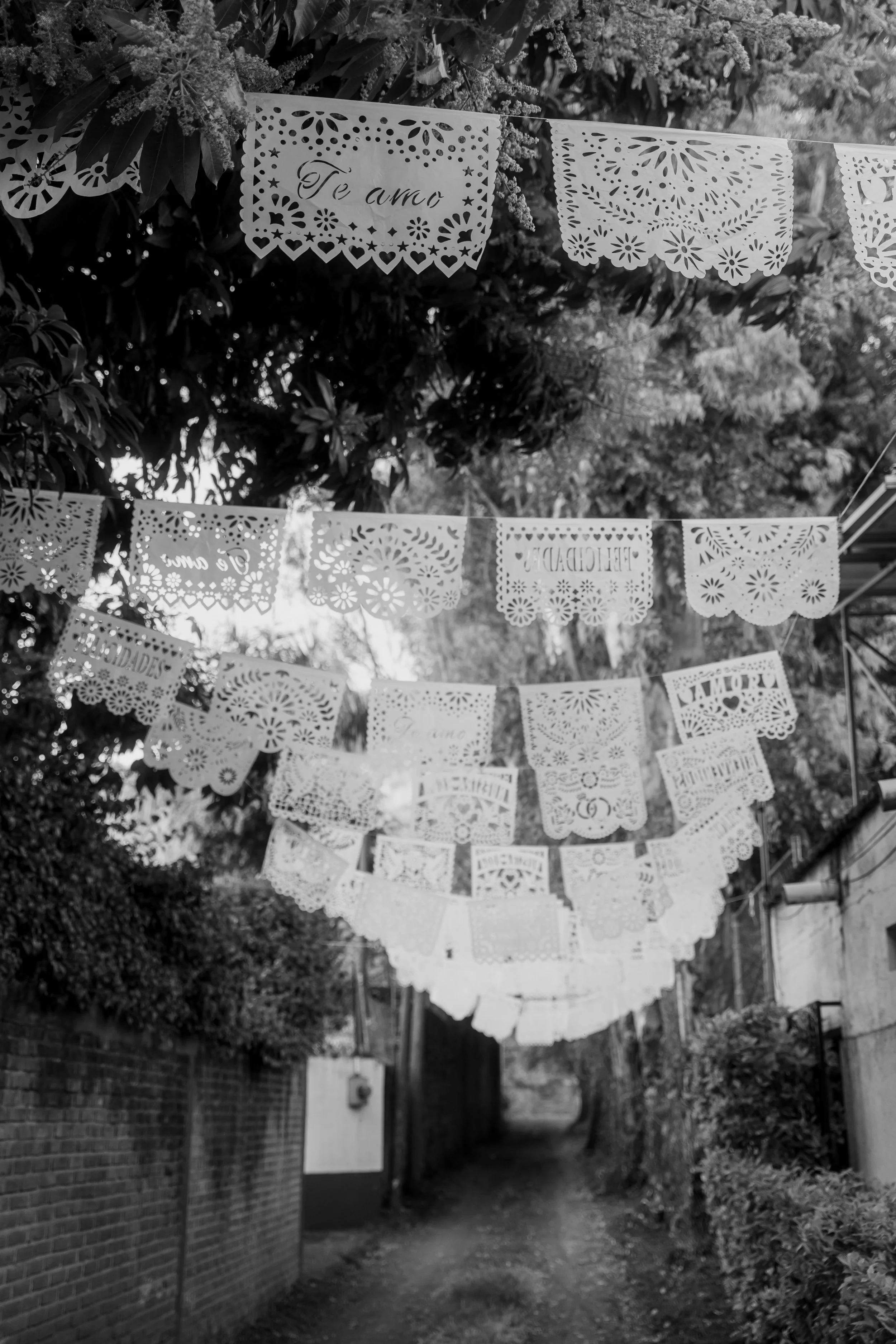 Decorative papel picado banners hanging over a quiet outdoor alleyway, with trees and foliage in the background.