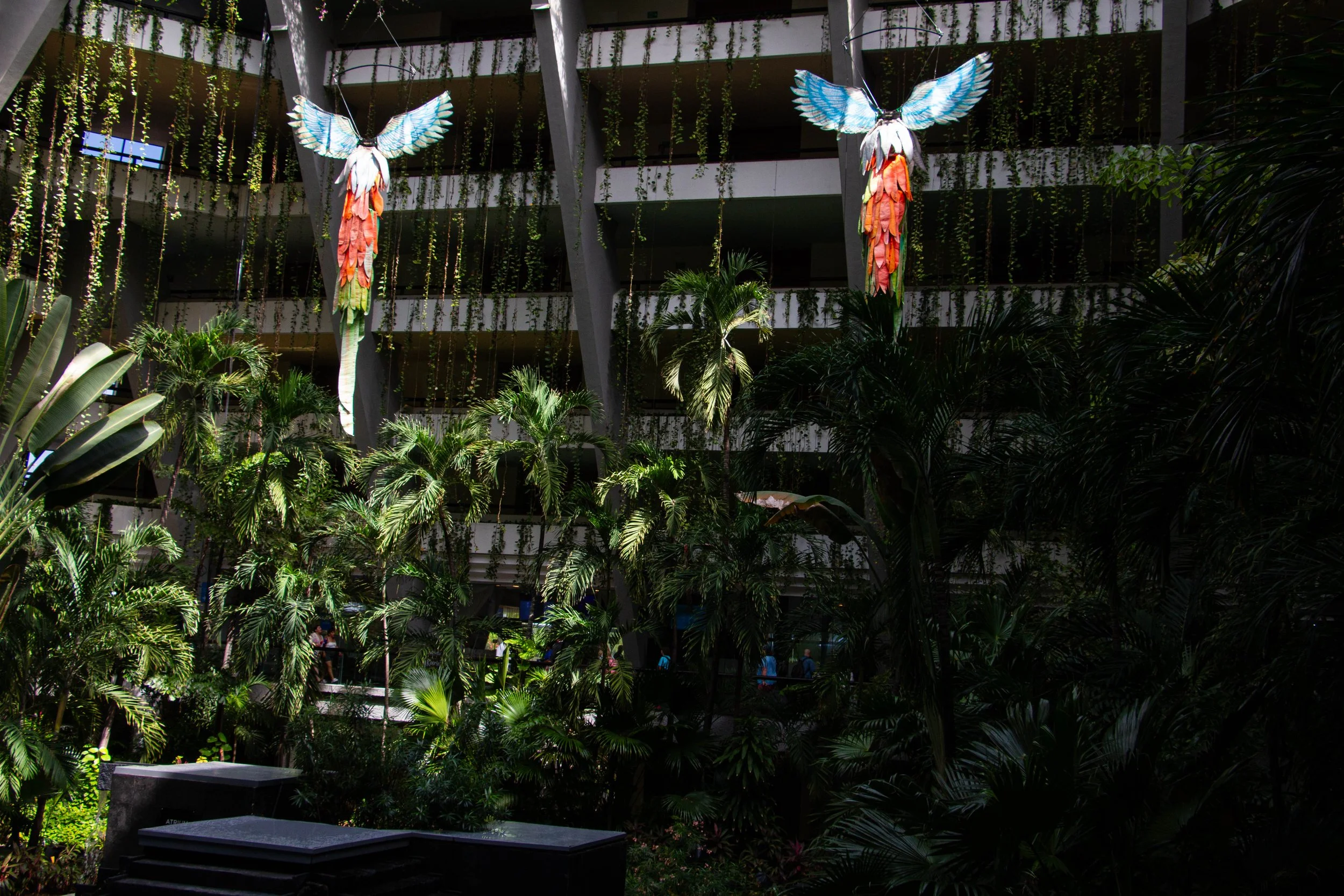 Indoor garden with lush green tropical plants and two colorful bird-shaped sculptures hanging from the ceiling with wings outstretched.