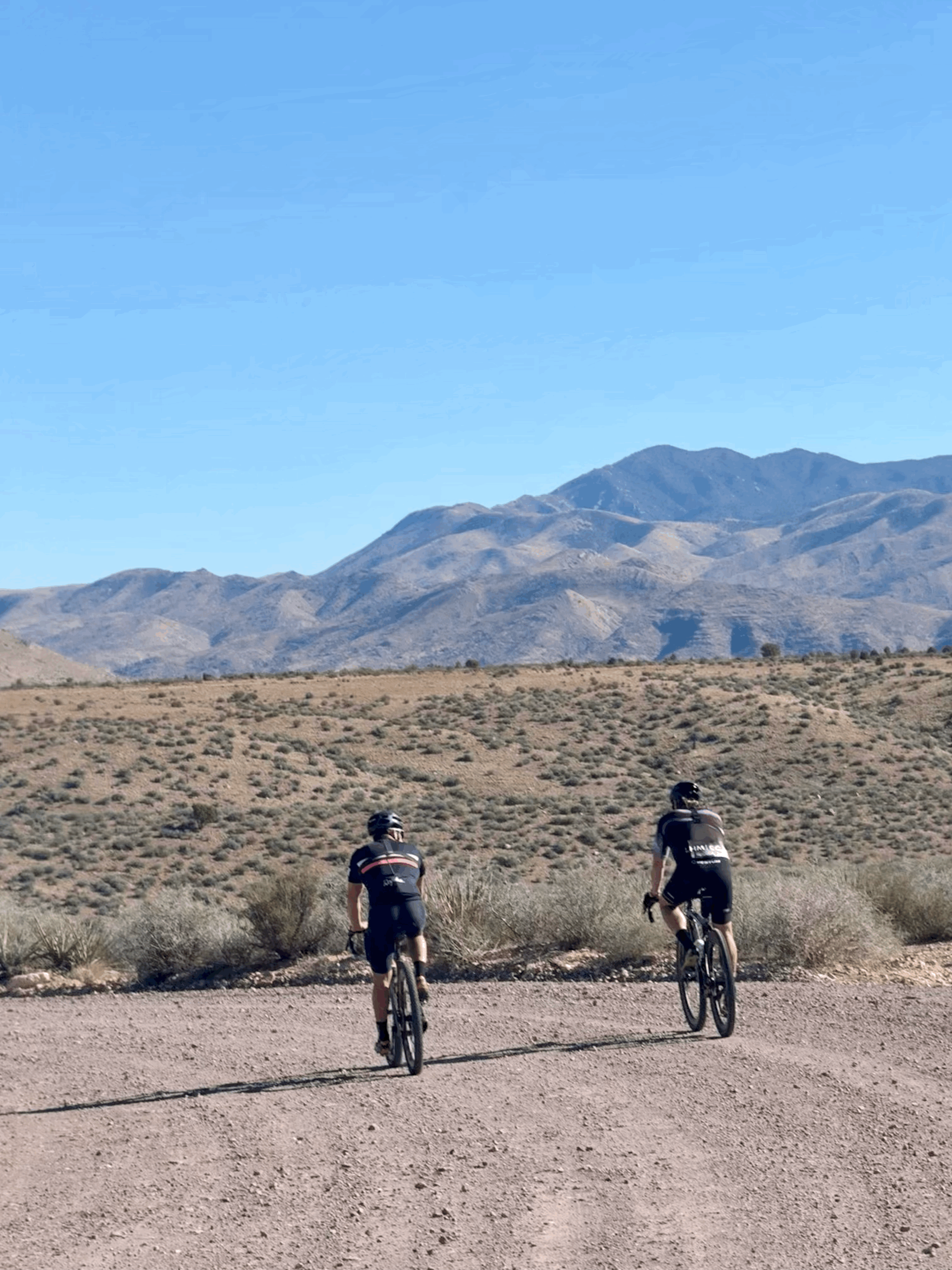 Local Option (No Lodging)