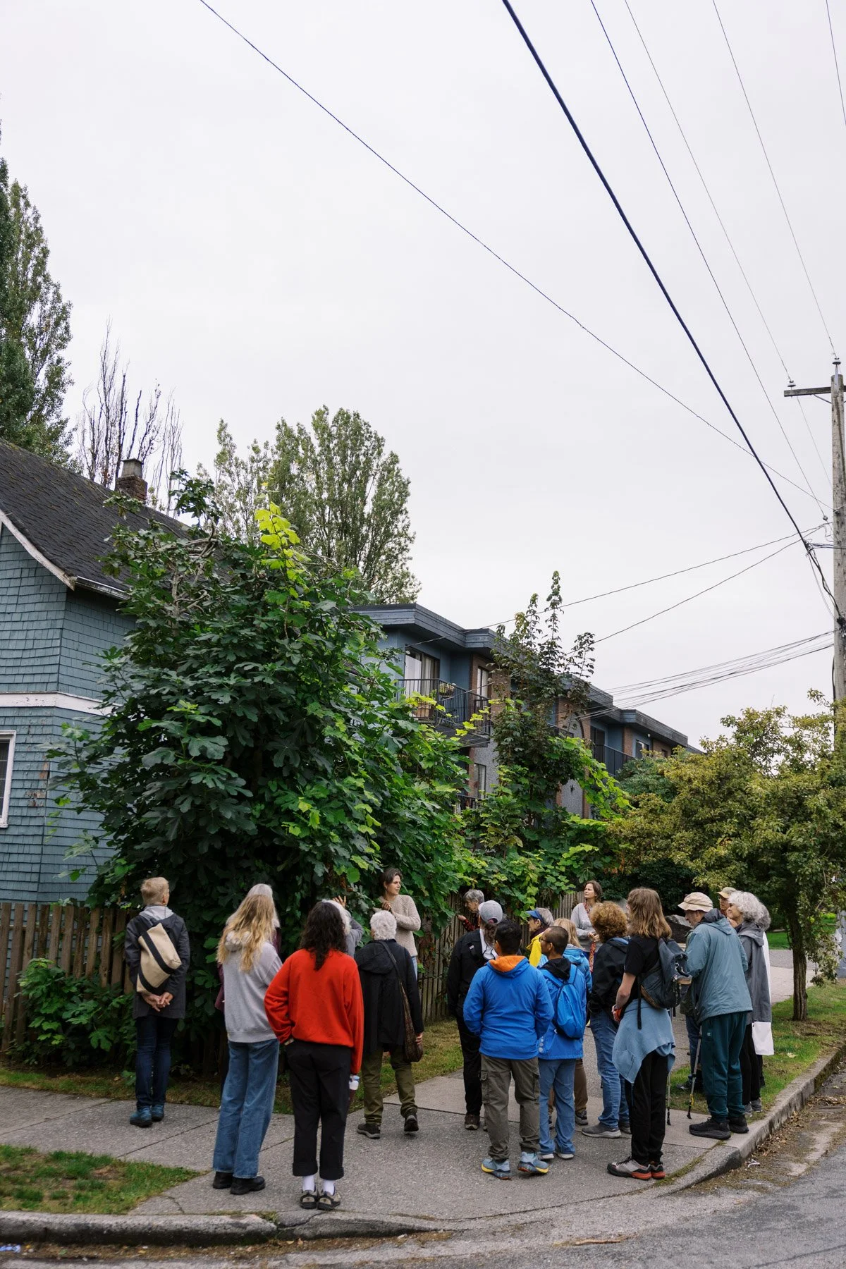 arborlight_kitstreetour_elmshoots-33.jpg