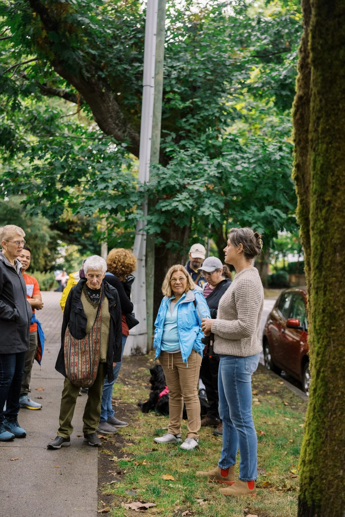 A group of people gathered outdoors on a sidewalk, listening to a woman speaking, surrounded by large trees and parked cars.