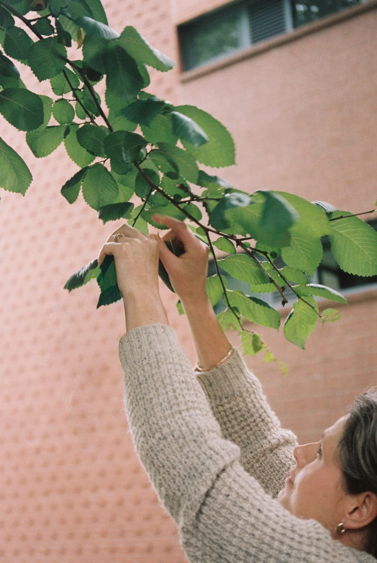 arborlight_kitstreetour_elmshoots-08.jpg