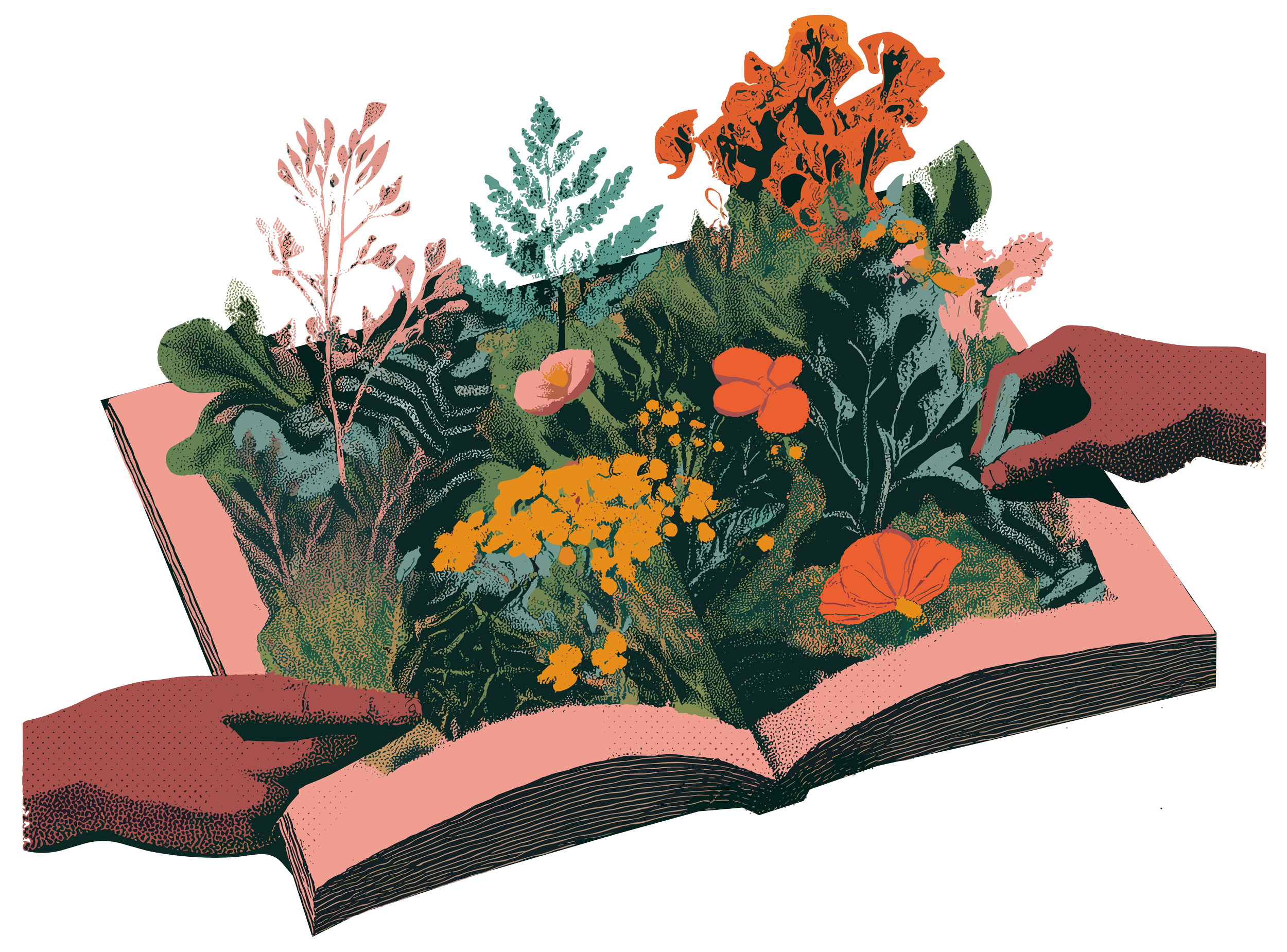 Open book with a bouquet of colorful flowers and green foliage emerging from its pages.