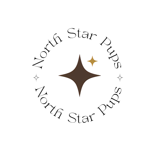 Logo for North Star Props featuring a stylized star with two golden stars around it, and the text 'North Star Props' encircling the star design.