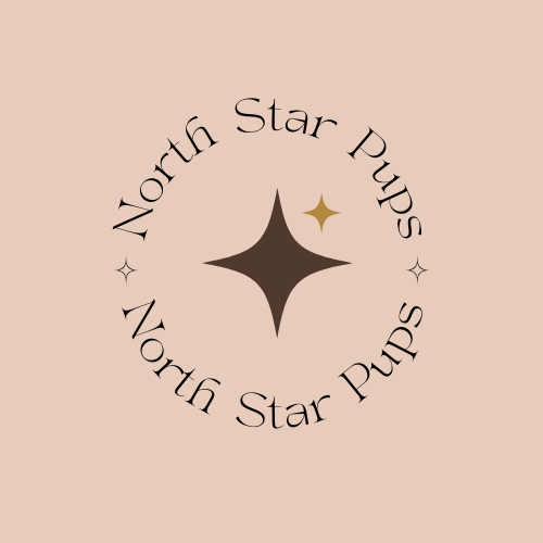 Logo with a central stylized star and the text 'North Star Pups' arranged in a circle around it, featuring small star icons.