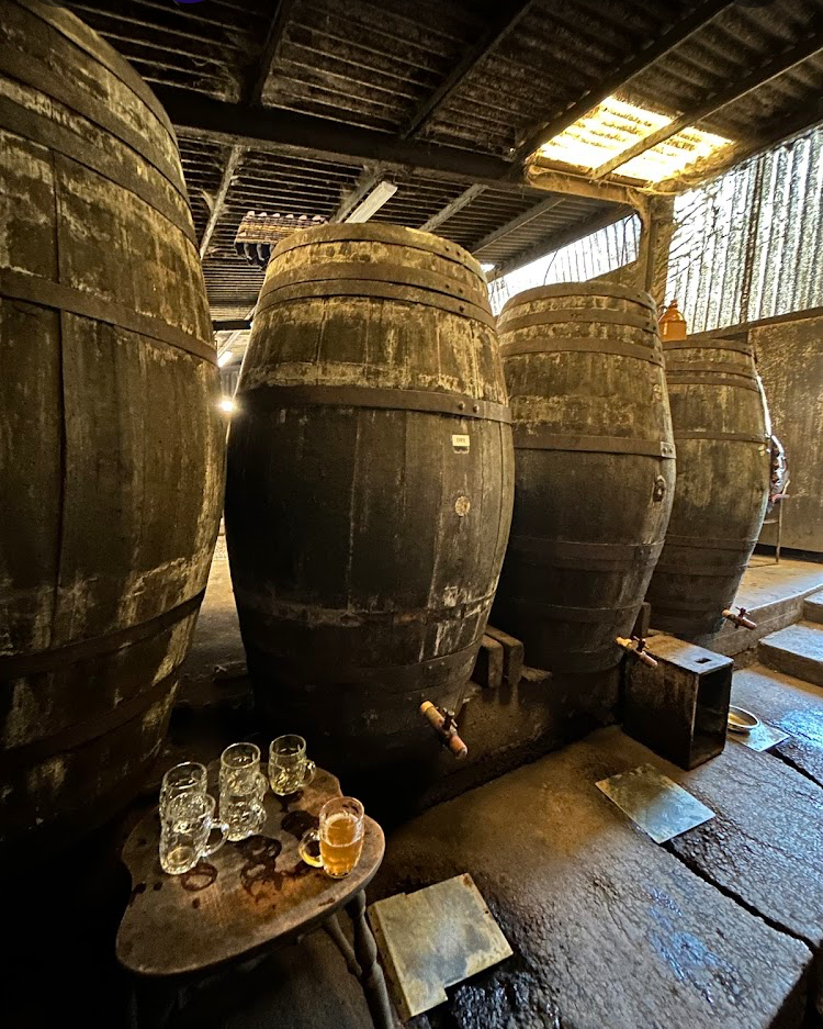 Several large, weathered oak barrels in a distillery, with taps at the bottom and a small table holding glasses of beer in the foreground.