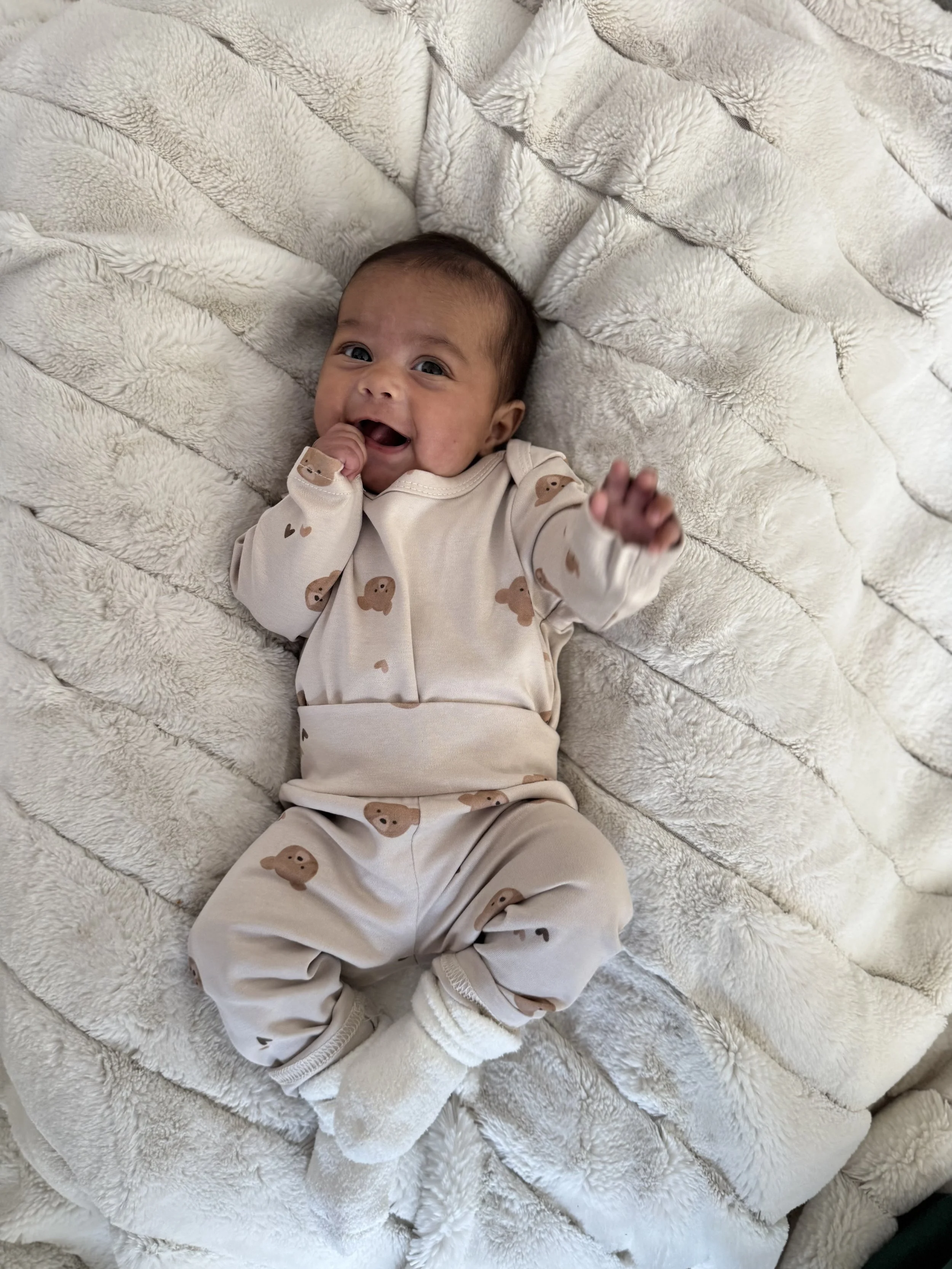 Little Bear Friends Set