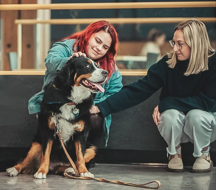 Deux femmes interactent avec un chien de taille moyenne dans un environnement intérieur. La femme à gauche a les cheveux rouges et porte une veste verte, tandis que la femme à droite porte des lunettes et un sweat noir.