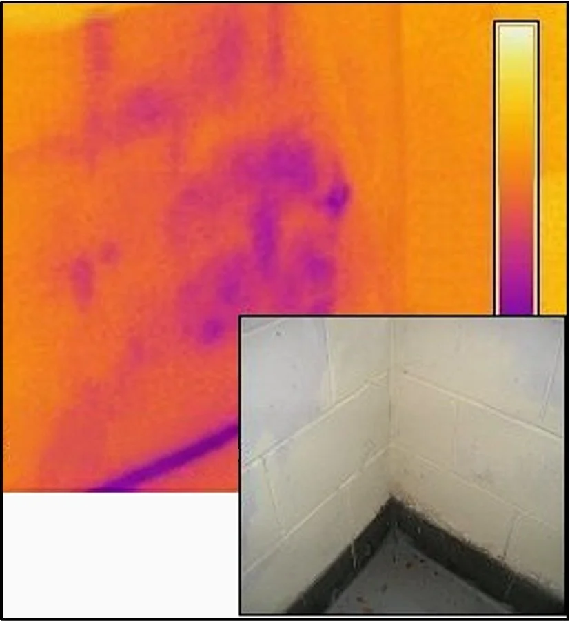 Thermal image of a wall corner showing heat signatures, with a smaller inset image of a tiled corner with mold or dirt at the bottom.