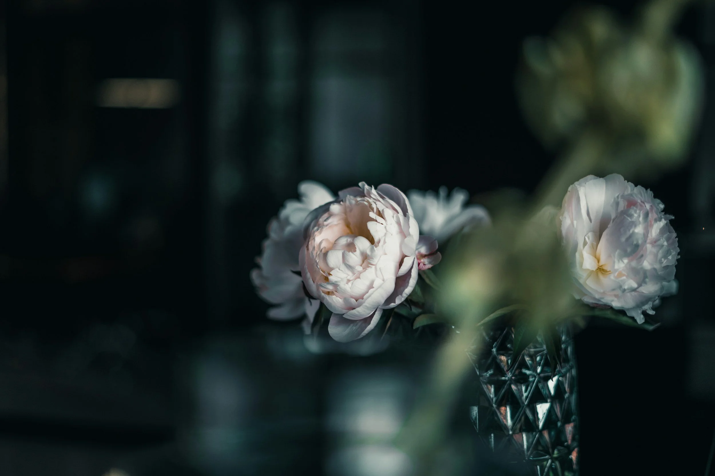 Close-up of light pink and white peony flowers in a crystal vase with a dark background.