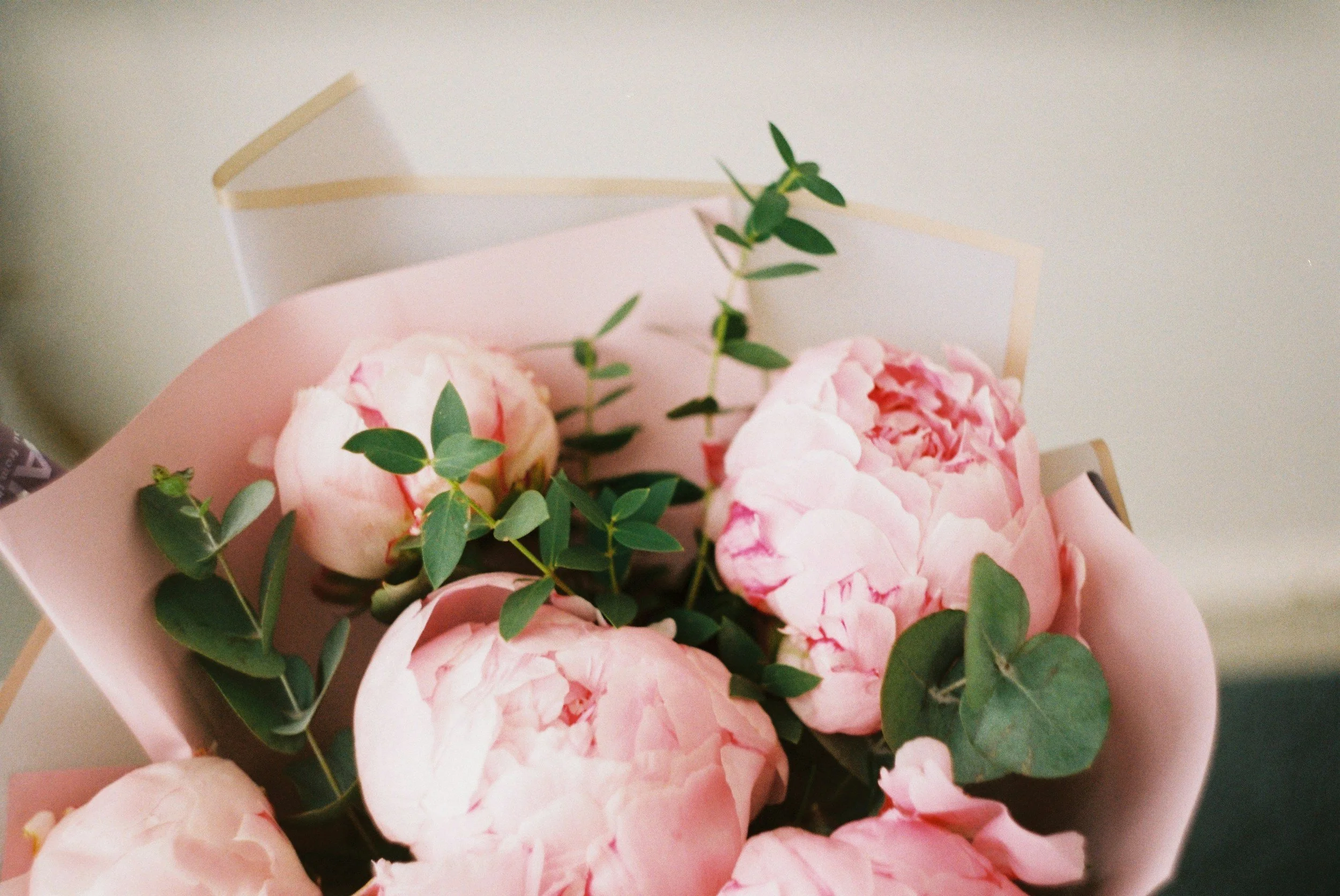 Close-up of pink peonies with green leaves in a pink box.