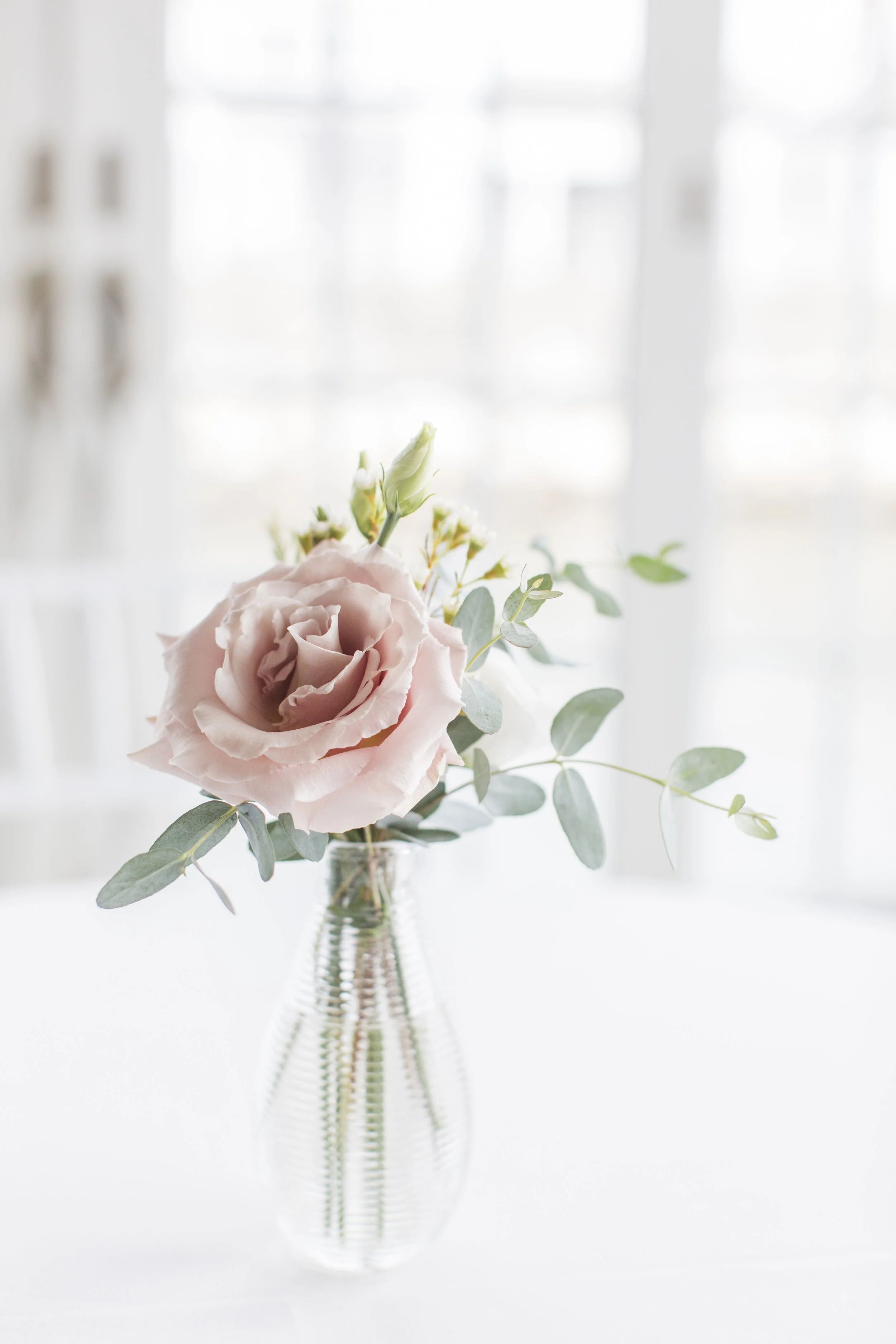 A glass vase with pink roses and green foliage on a white surface, with a bright window in the background.