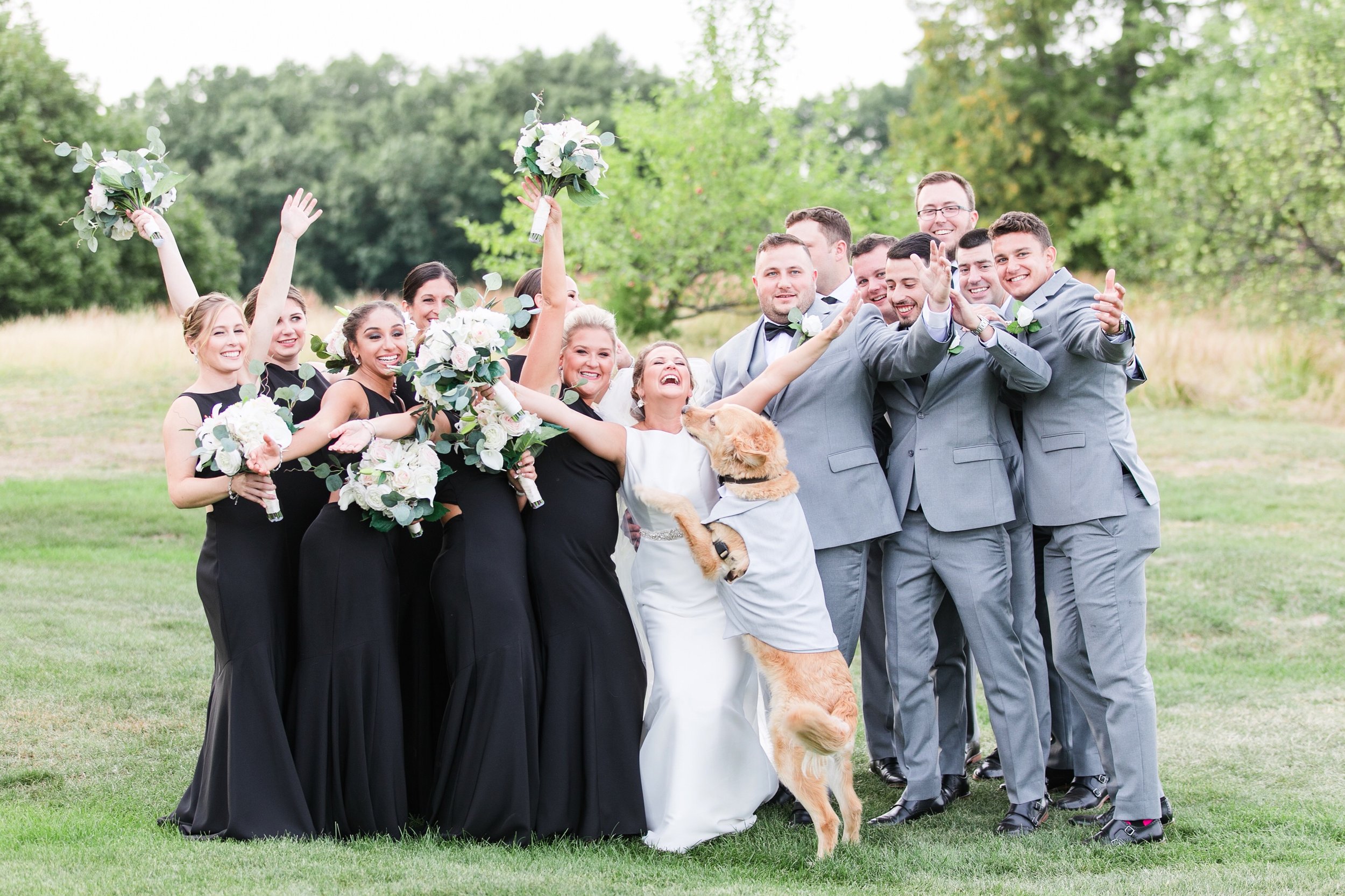 Wedding party celebrating outdoors, with women in black dresses, men in gray suits, and a dog wearing a vest, in a green park with trees.