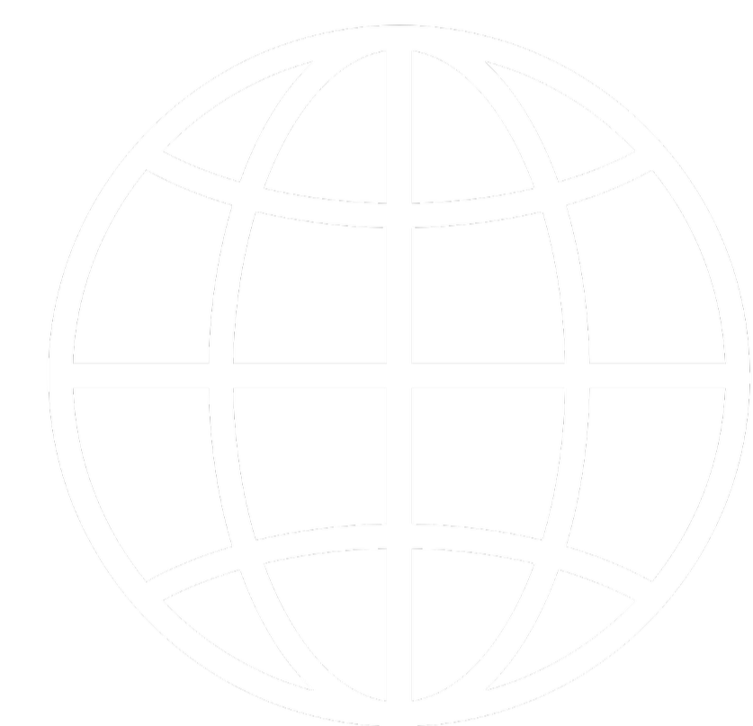 Black and white icon of a globe with grid lines.