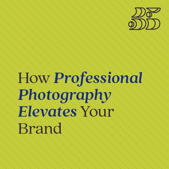 How Professional Photography Elevates Your Brand