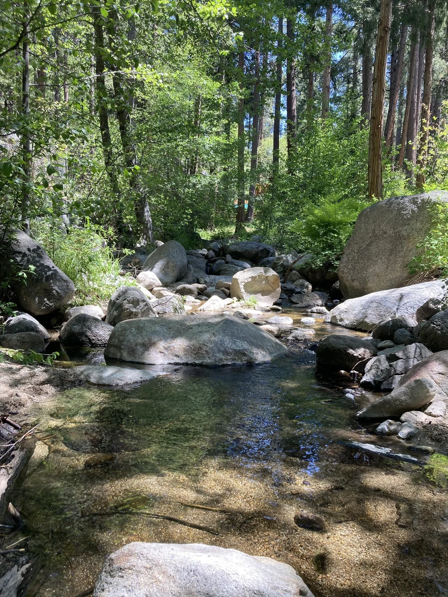 Strawberry Creek