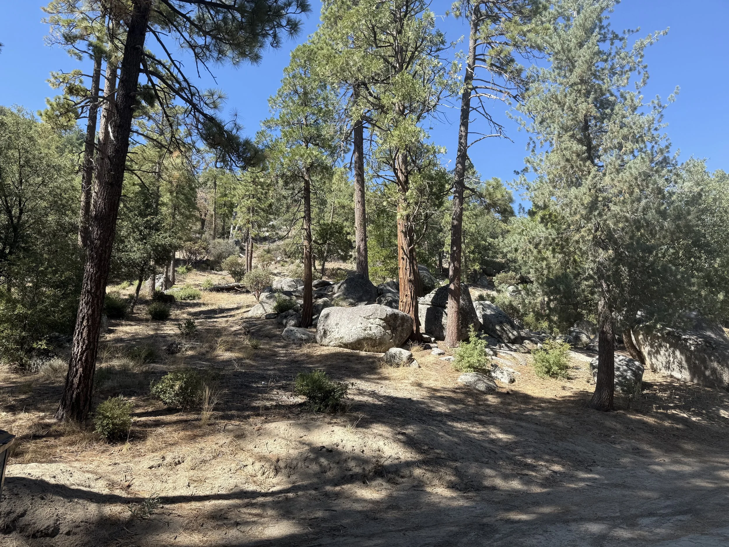 Idyllwild Regional Park