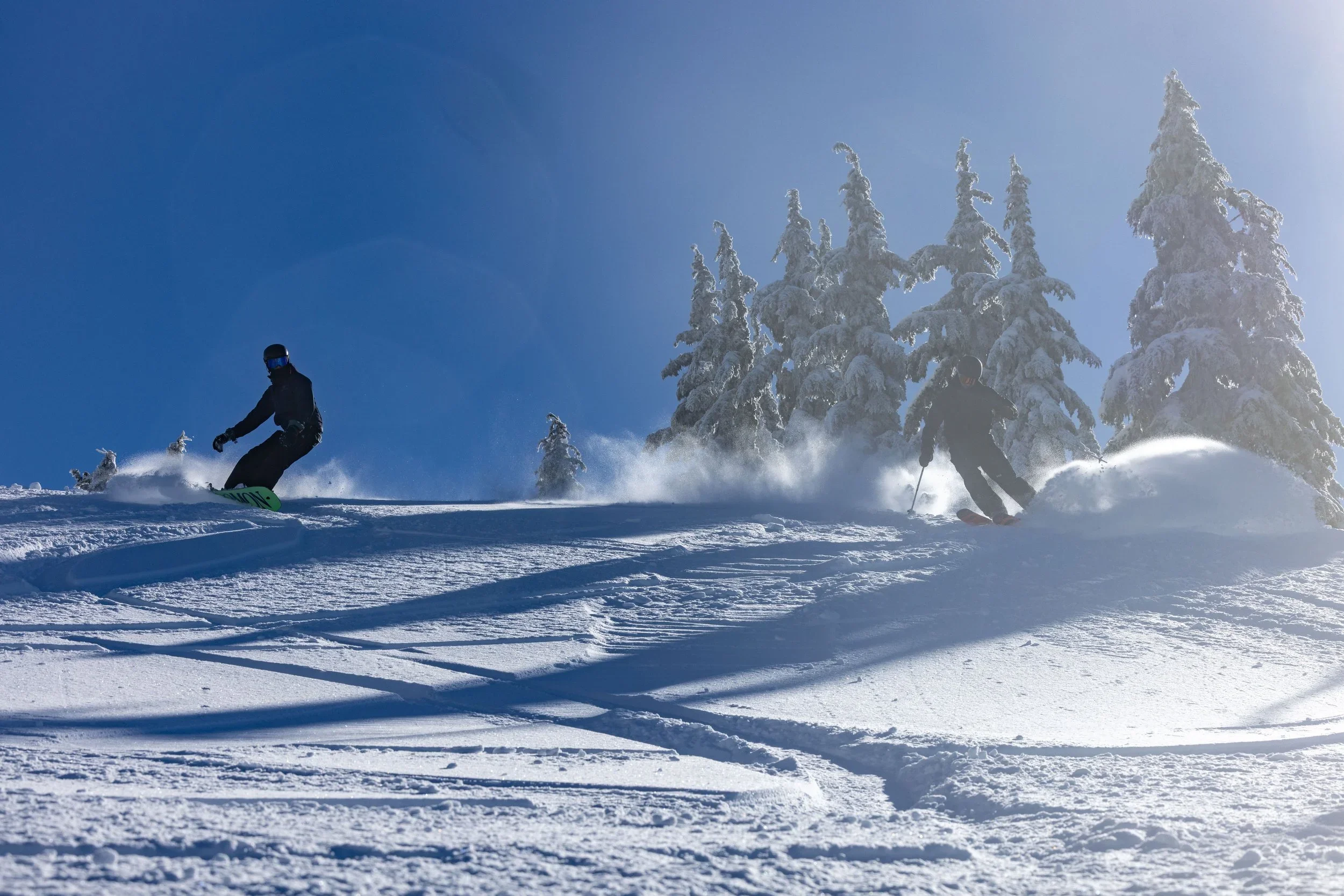 Two skiers descending a snowy mountain slope with snow-covered trees in the background and a bright blue sky.